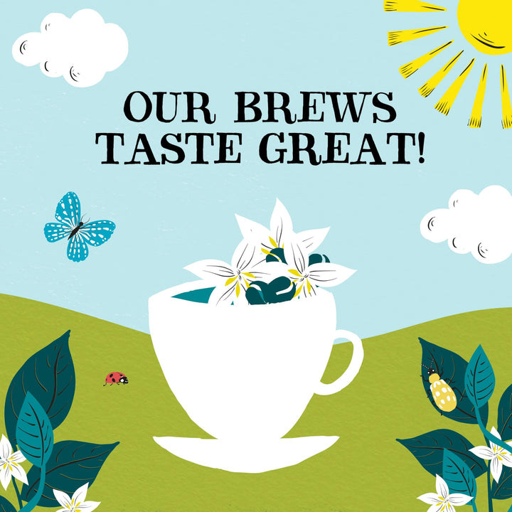 Clipper - Organic Medium Roast Arabica Instant Coffee 500g Refill