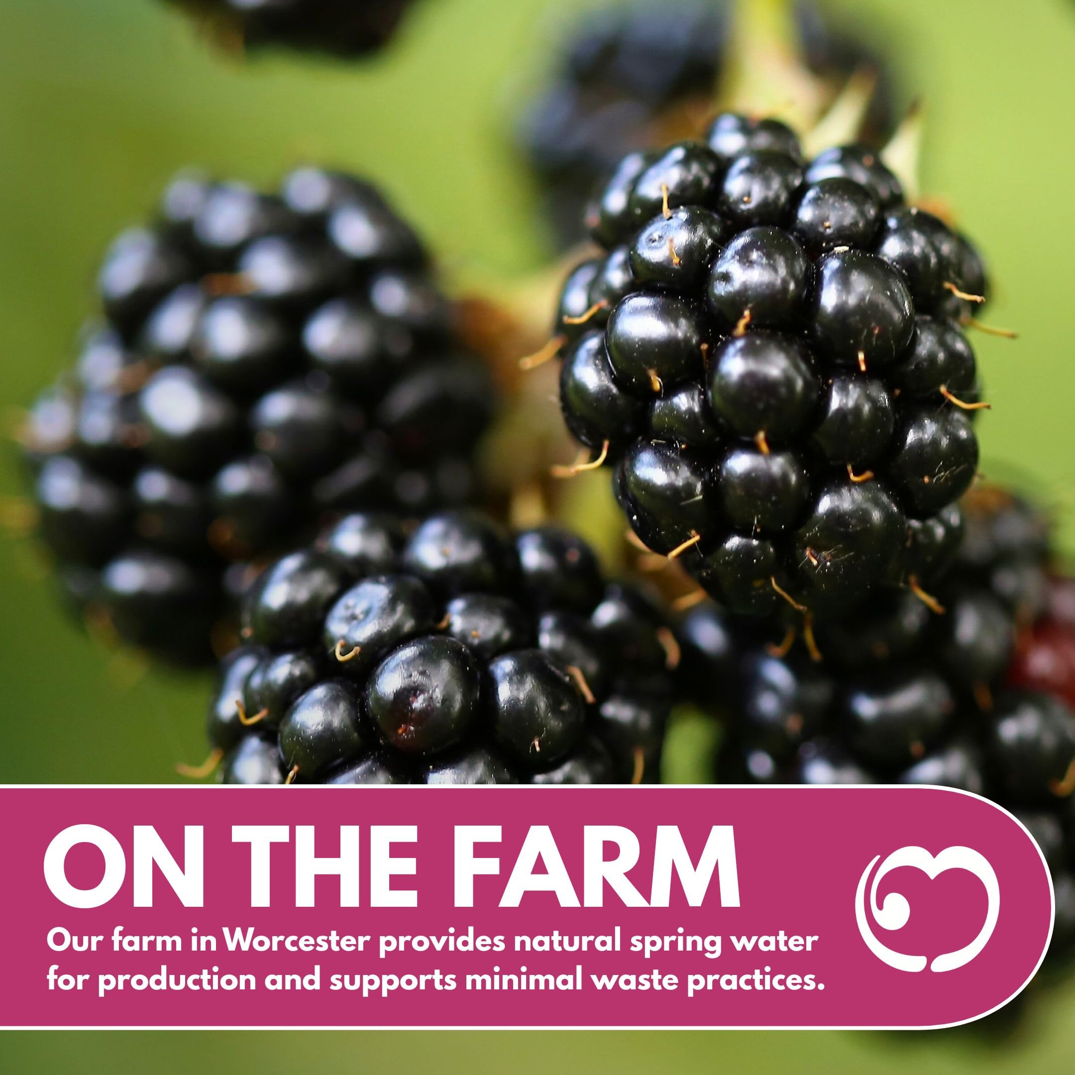 LITTLE MIXERS Quality Blackberry Puree for Cocktails & Smoothies | 1L Carton | 90% Fruit Content 6