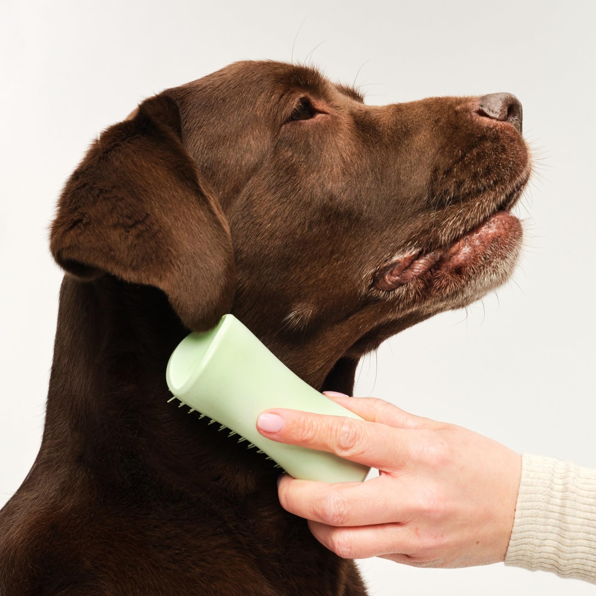 Pet Teezer Puppy Grooming Brush - Detangling | Gentle on Sensitive Skin | Mint 3