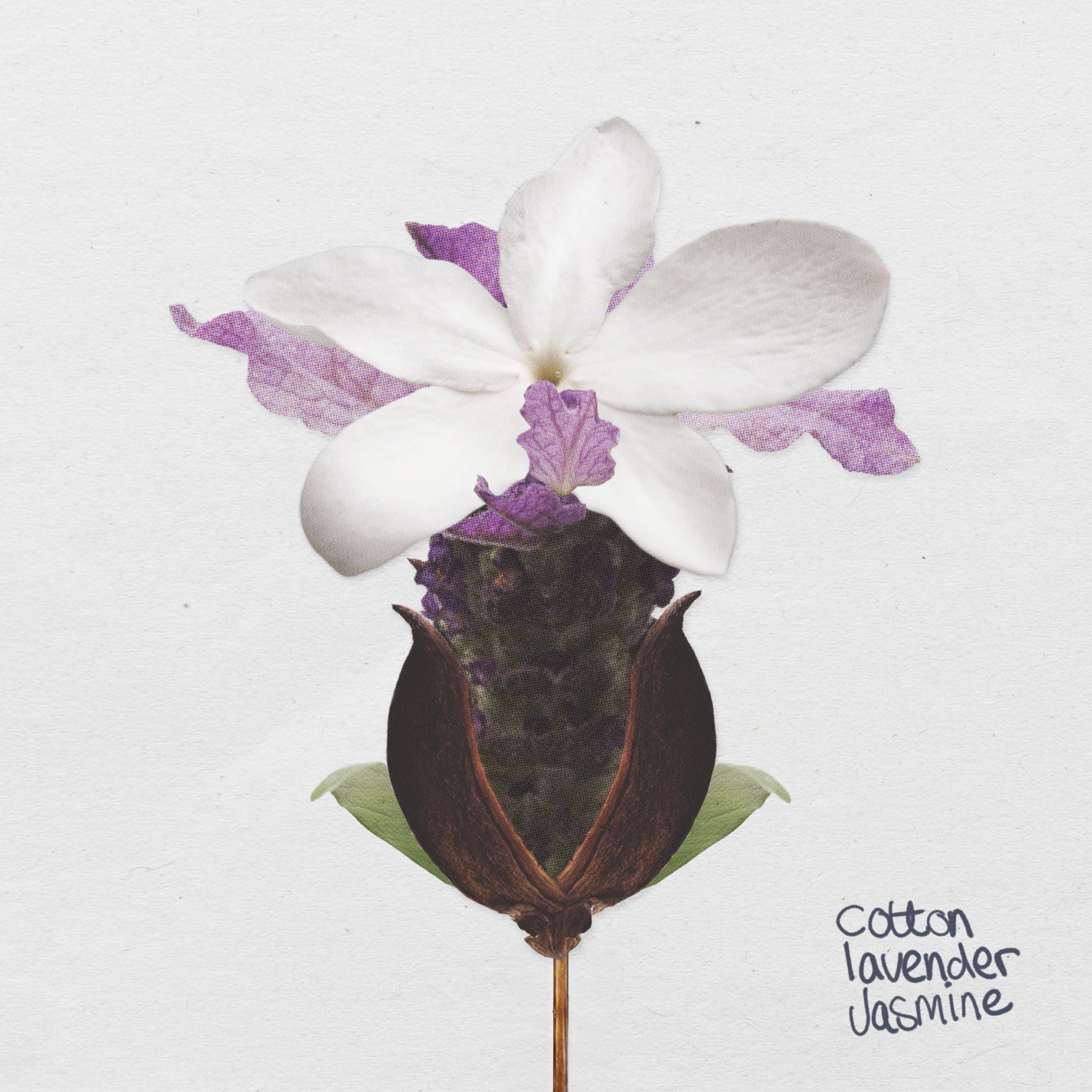 The Lab Co. - Laundry Detergent Strips (64 Loads, Cotton Lavender Jasmine) 9