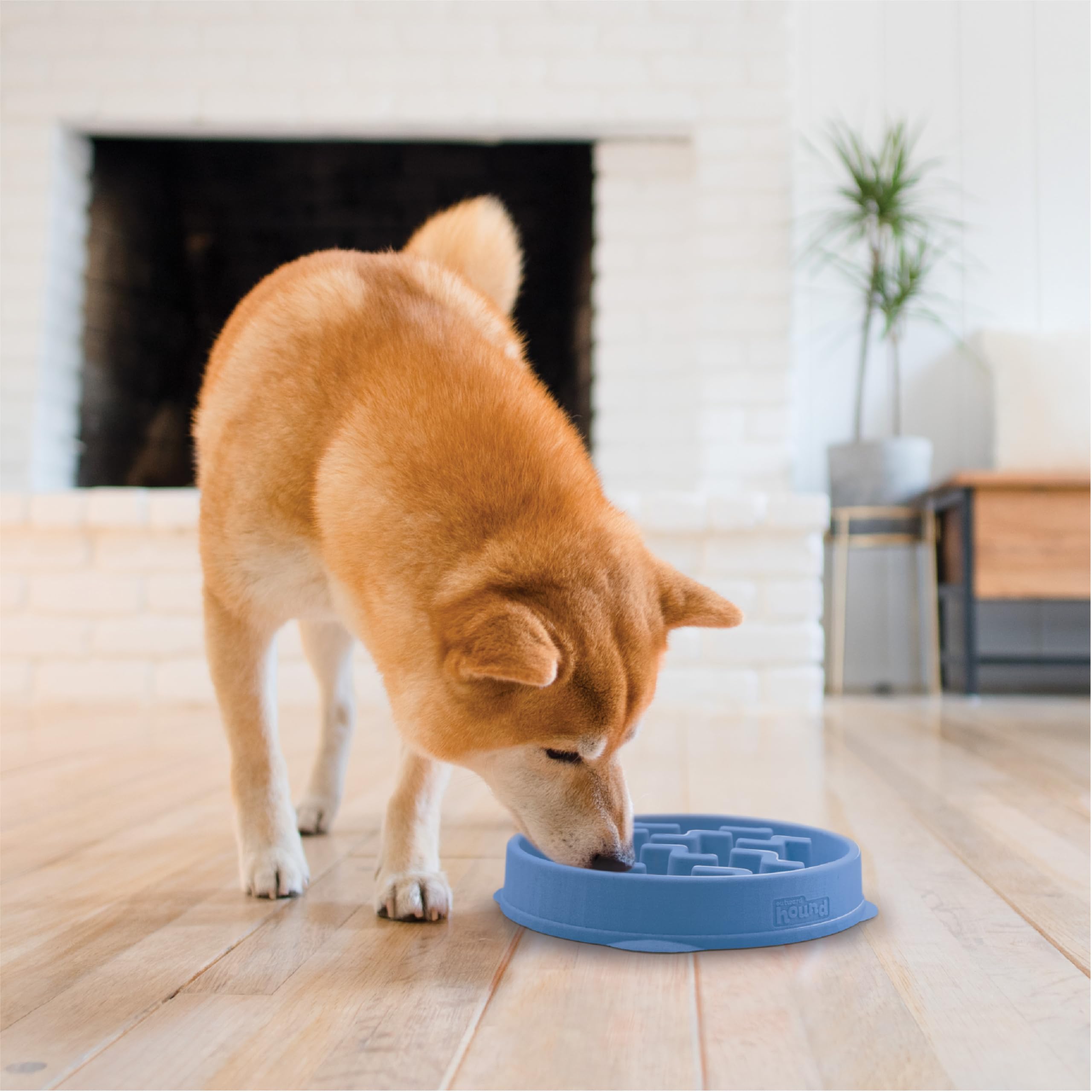 Outward Hound Slow Feeder Dog Bowl - Reduces Bloat, Improves Digestion | Medium, Blue 6