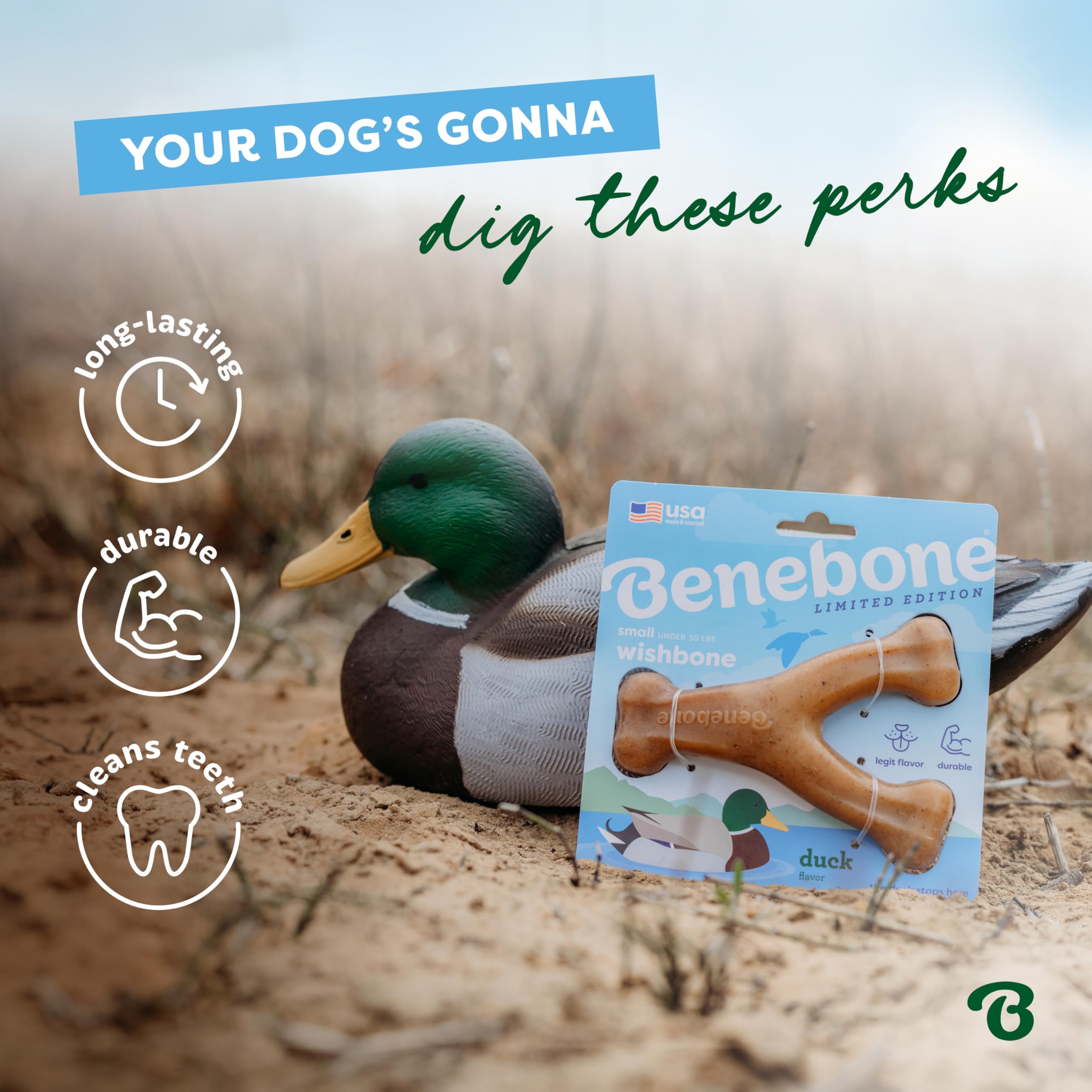 Benebone Wishbone Durable Chew Toy - Limited Edition Duck Flavor | Medium Size | Made in USA 4