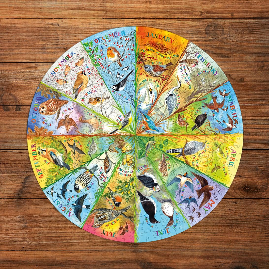 Gibsons RSPB Birds of the Year 500 Piece Circular Jigsaw Puzzle | 49 cm Diameter 2