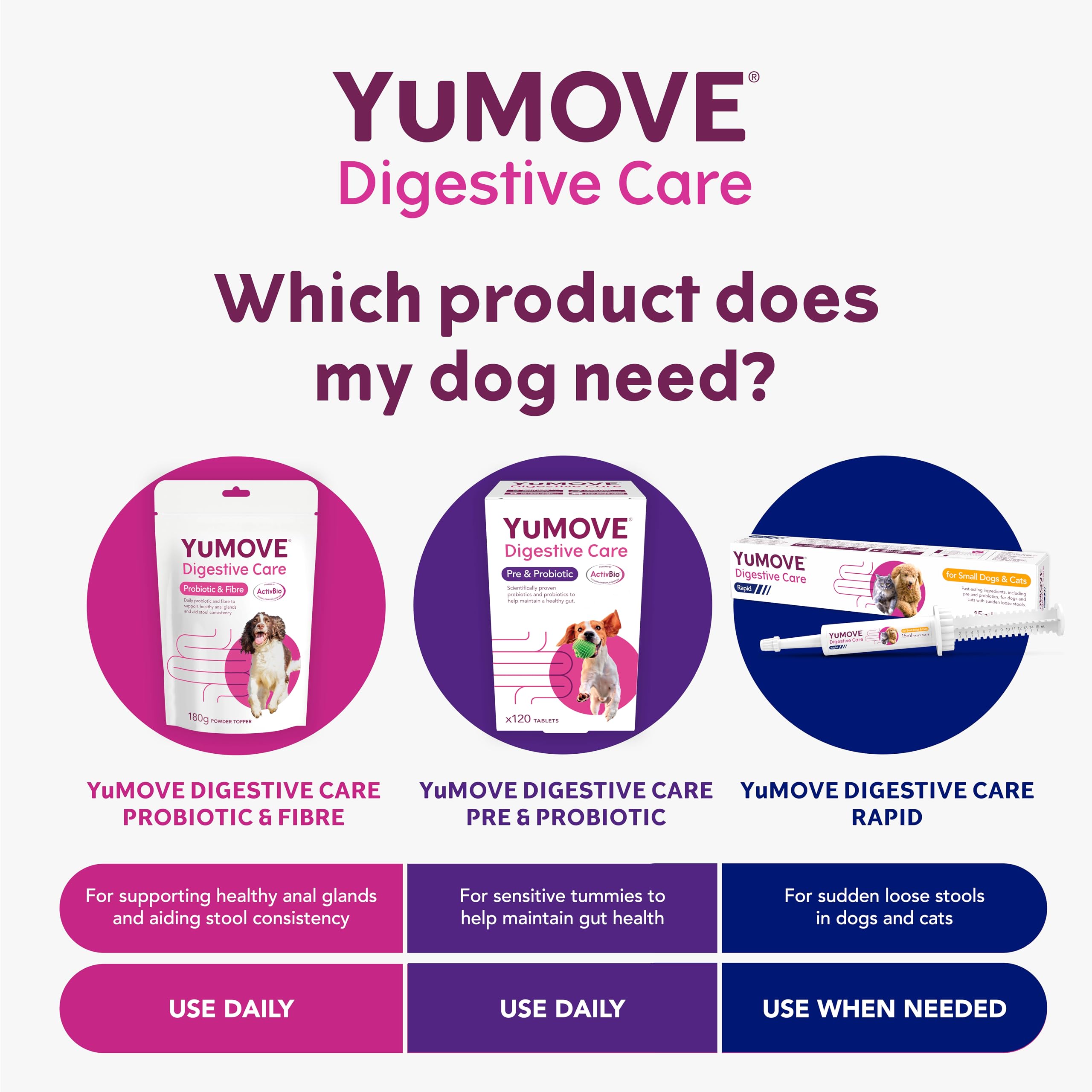 YuMOVE Digestive Care Rapid Paste for Cats & Dogs - Fast-Acting Pre & Probiotic for Loose Stools | 15ml 5