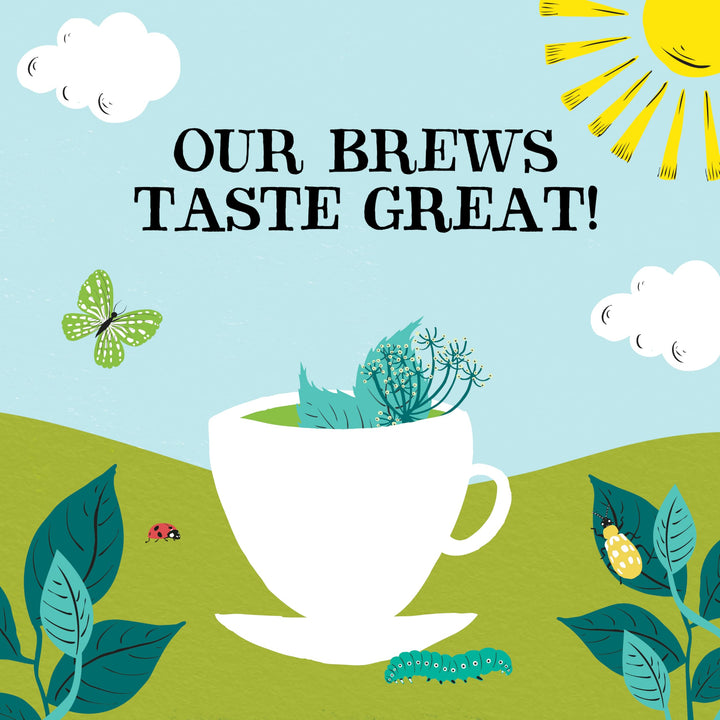 Clipper Organic After Dinner Mint & Fennel Infusion Tea Bags | 20 Unbleached Tea Sachets