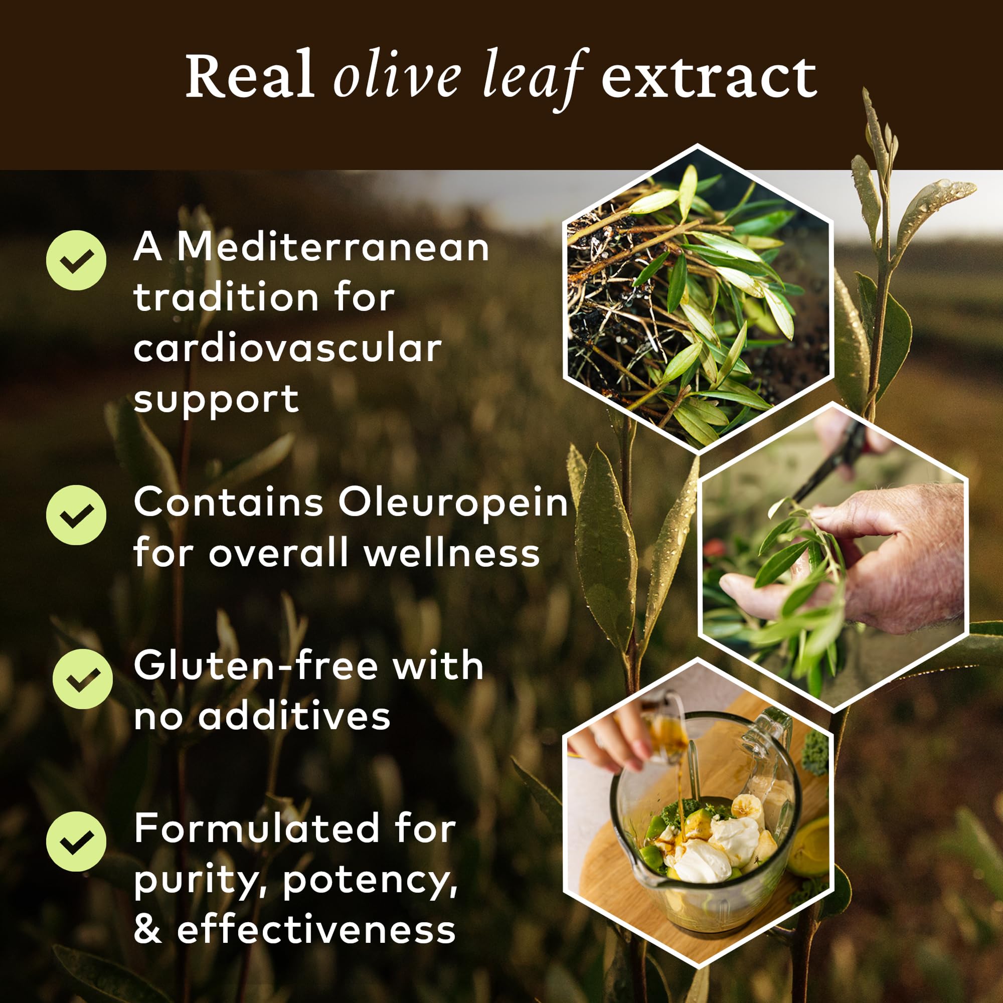 COMVITA Natural Olive Leaf Extract Liquid - 500ml | 66mg Oleuropein per Dose | Supports Blood Pressure 5