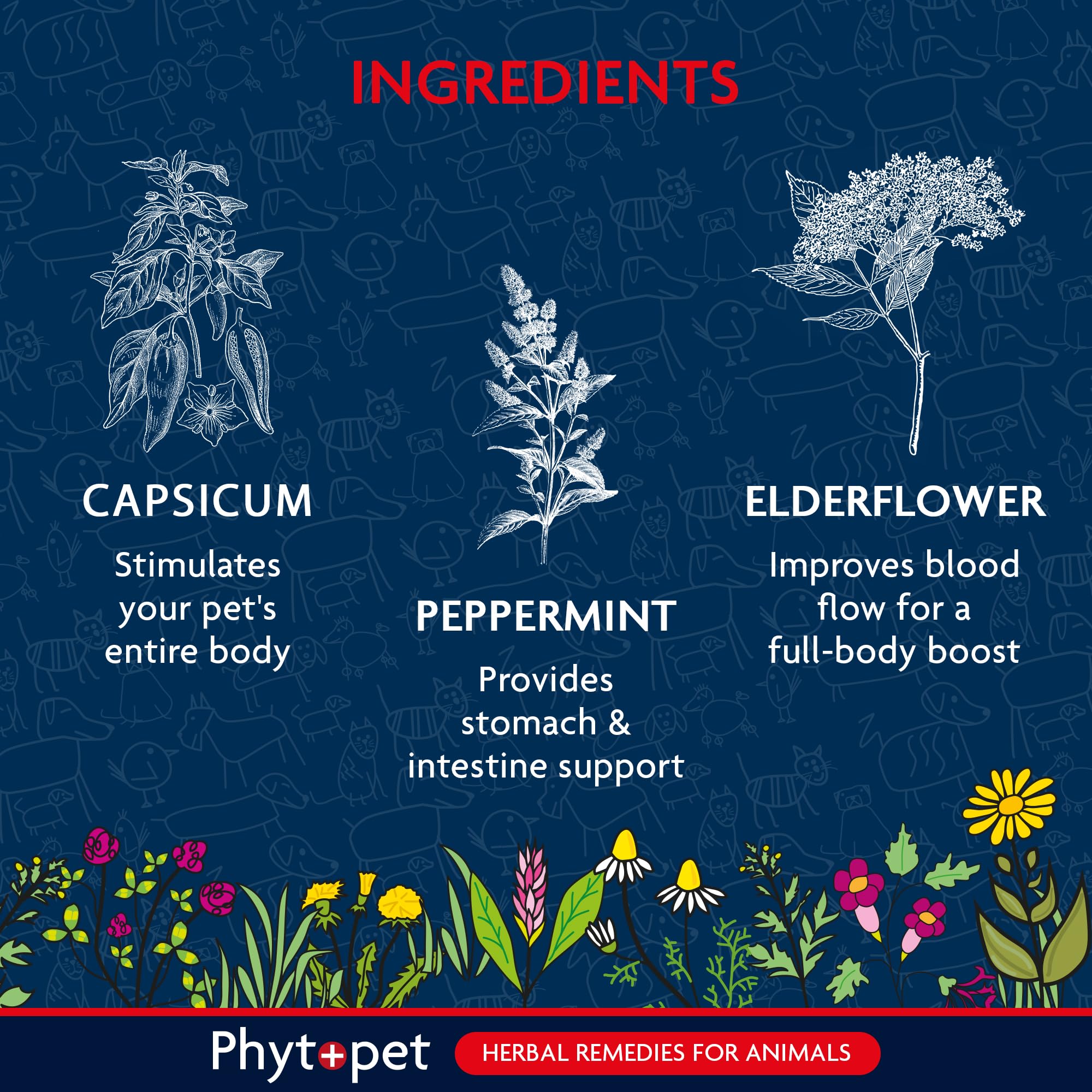 Phytopet Life Drops - Natural Herbal Stimulant for Newborn & Elderly Pets | 10 ml 4