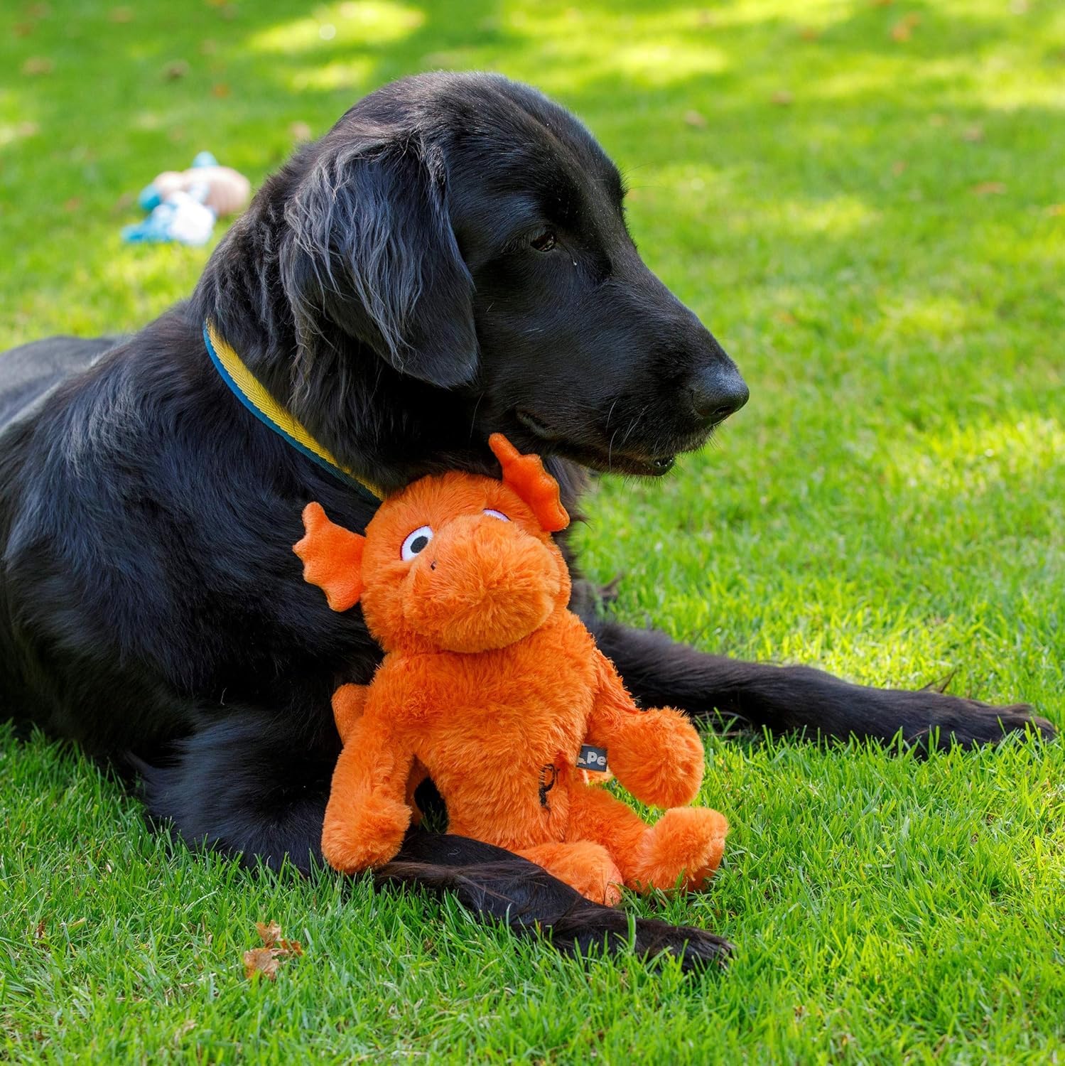 Petface Seriously Strong Plush Dragon Dog Toy - Durable, Heavy Duty for Large Breeds | Orange 5
