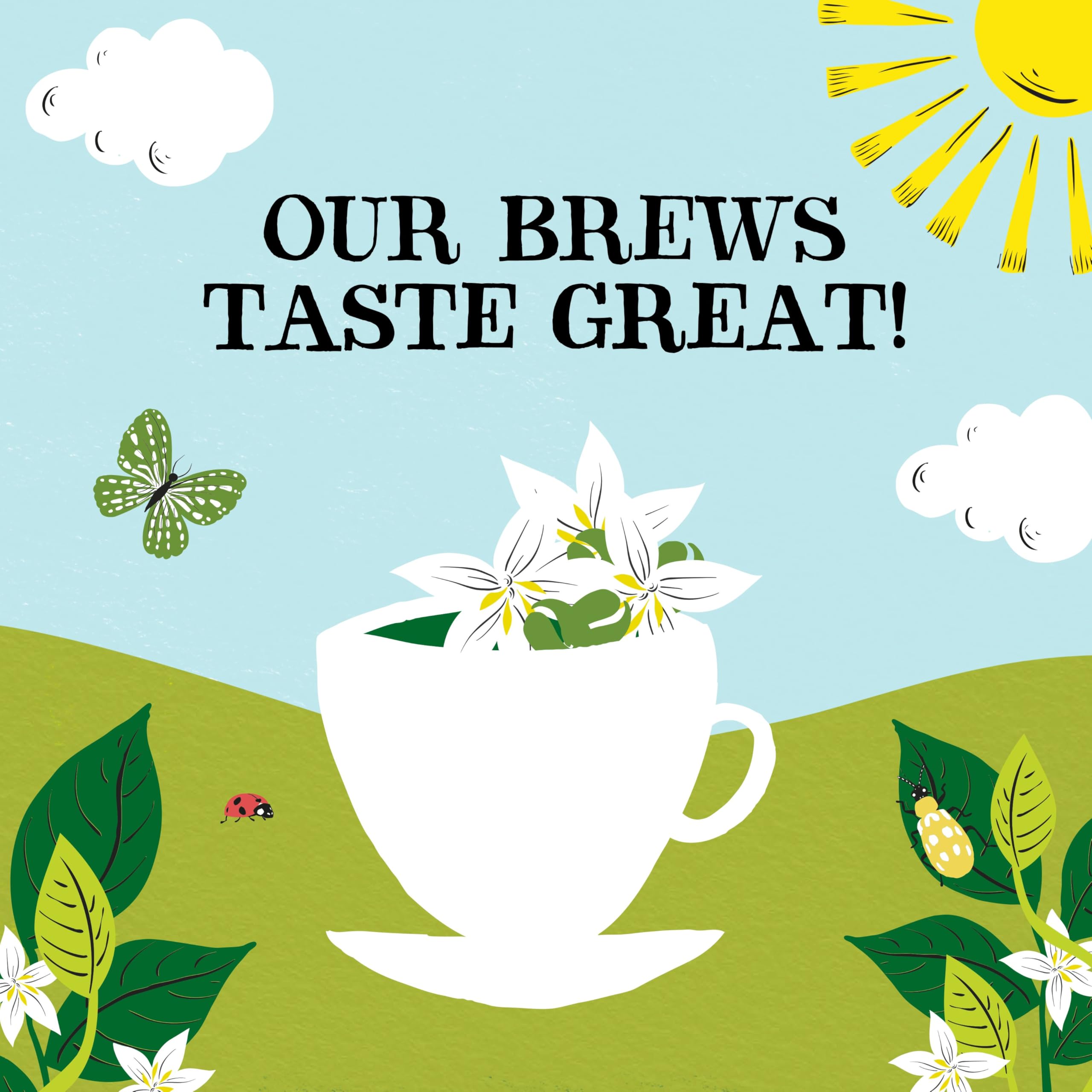 Clipper Organic Decaf Instant Coffee - 6x 100g Jars Medium Roast Arabica 9
