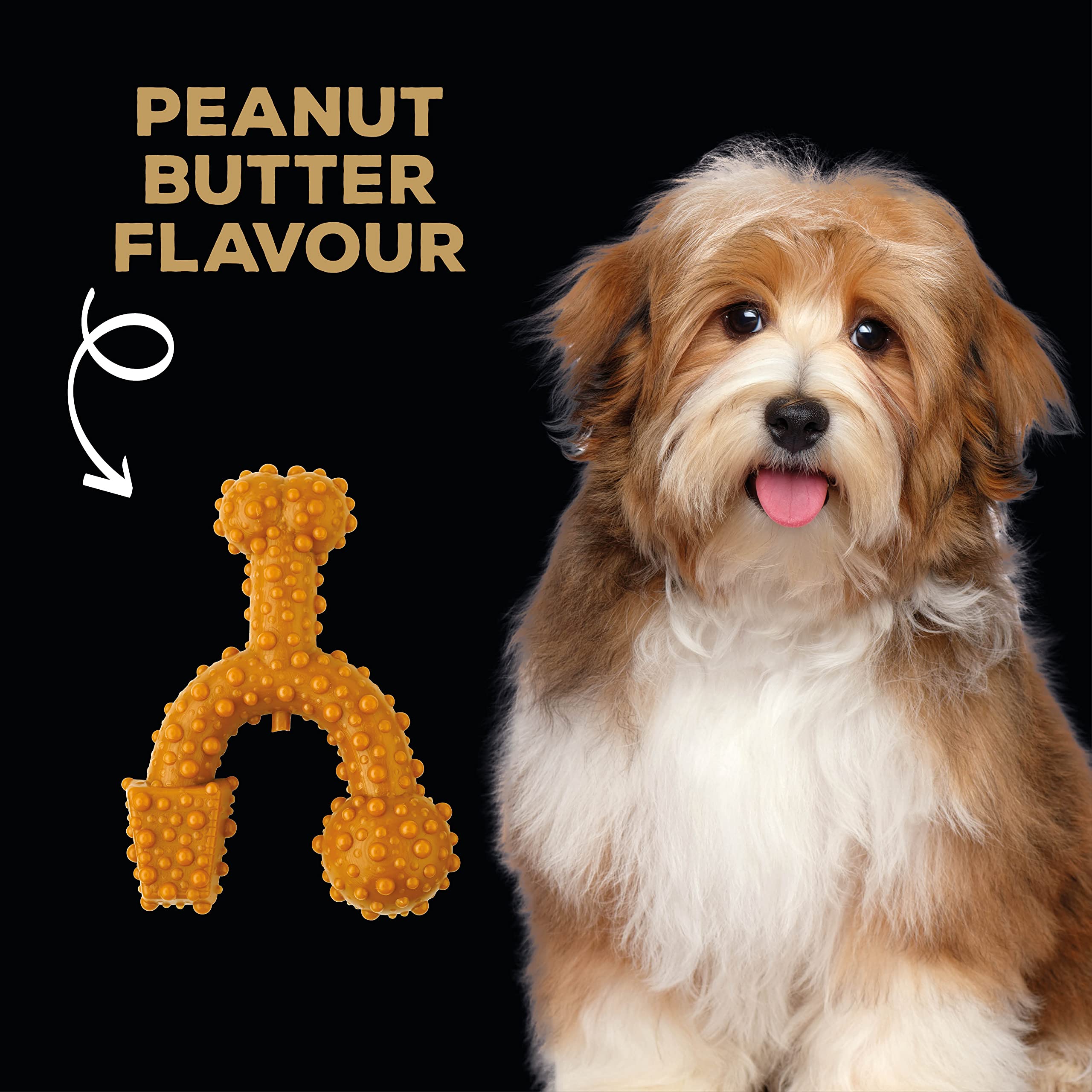 Tasty Bone TrioBone Peanut Butter Chew Toy - Durable Nylon | For Toy Dogs | 100 Day Guarantee 4