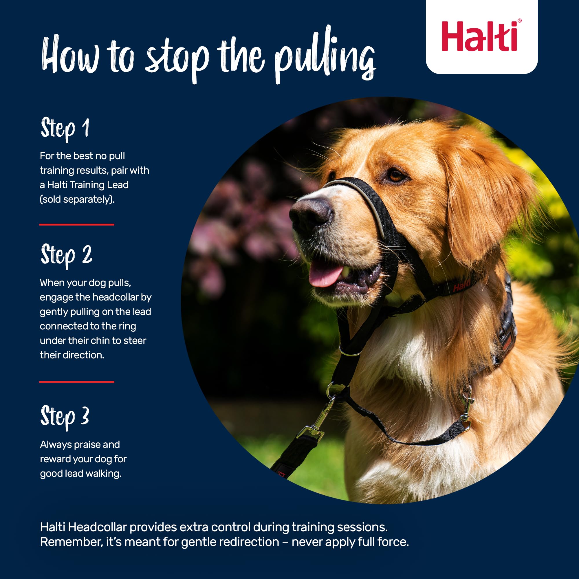Halti Headcollar for Dogs - Stops Pulling | Size 3, Purple 4