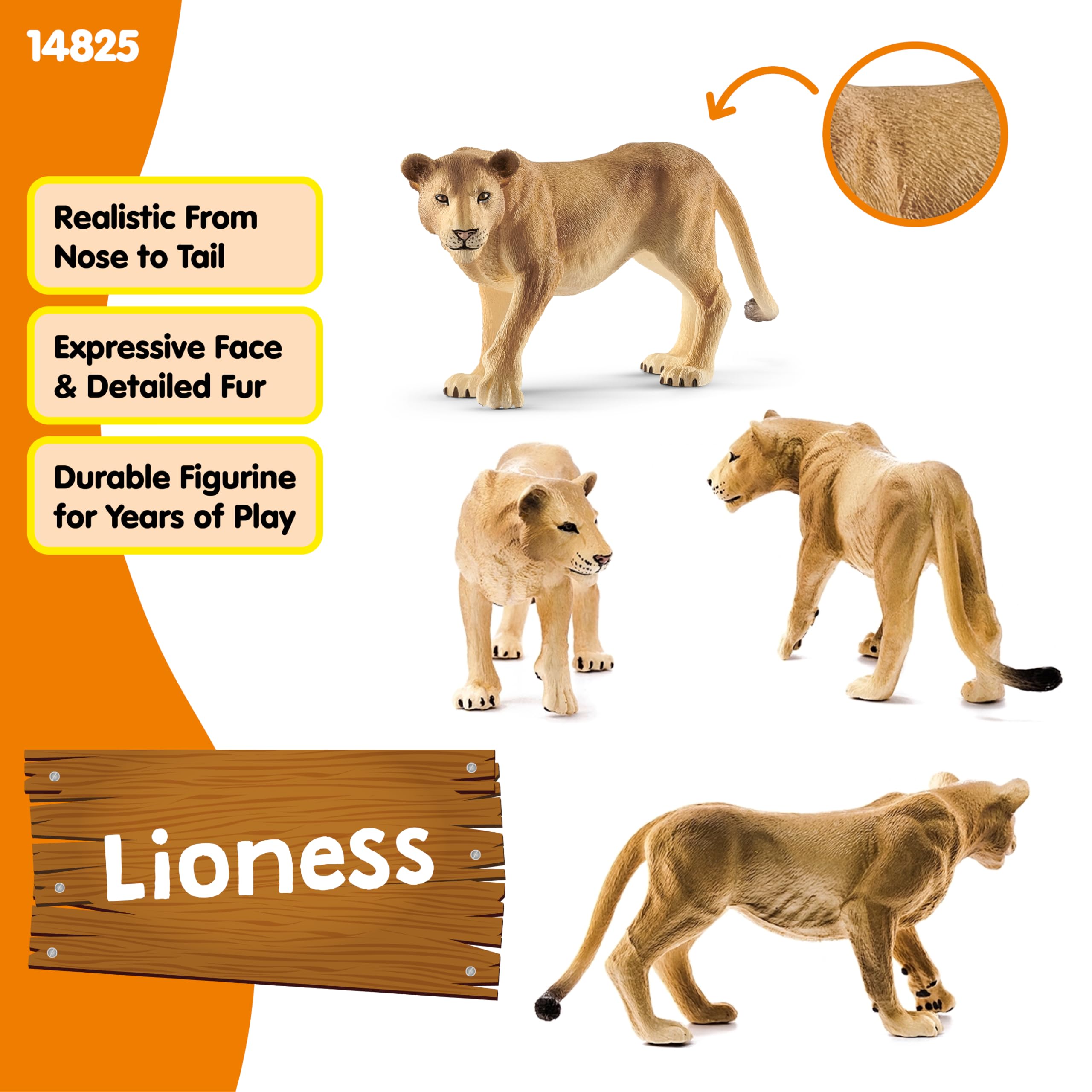 SCHLEICH Lioness Wildlife Figurine - Detailed Hand-Painted Animal Model for Kids 3-8 Years 6
