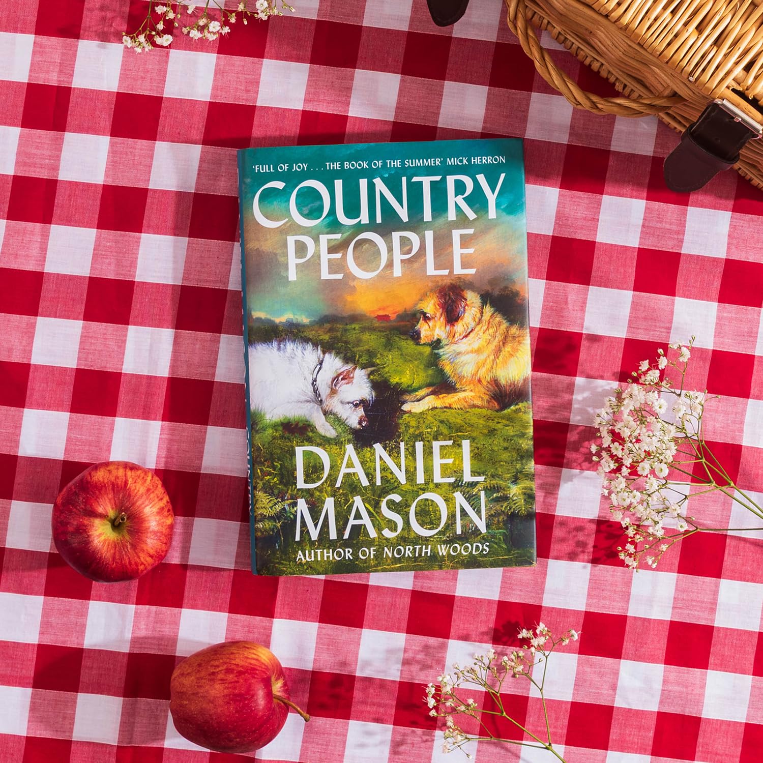 Country People by Daniel Mason - Humorous Fiction | Hardcover 2