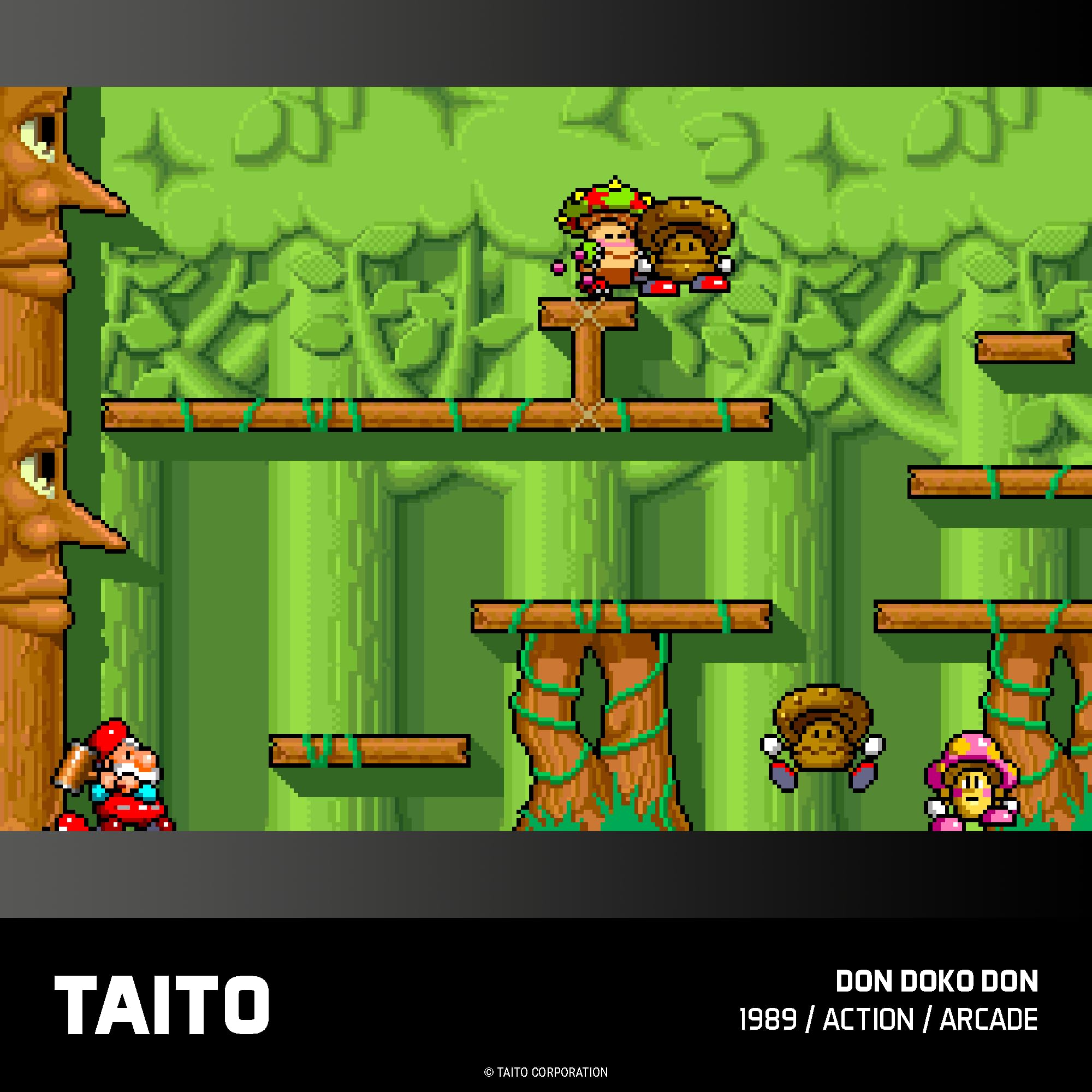 Taito Arcade 1 – Evercade-Kassette 7