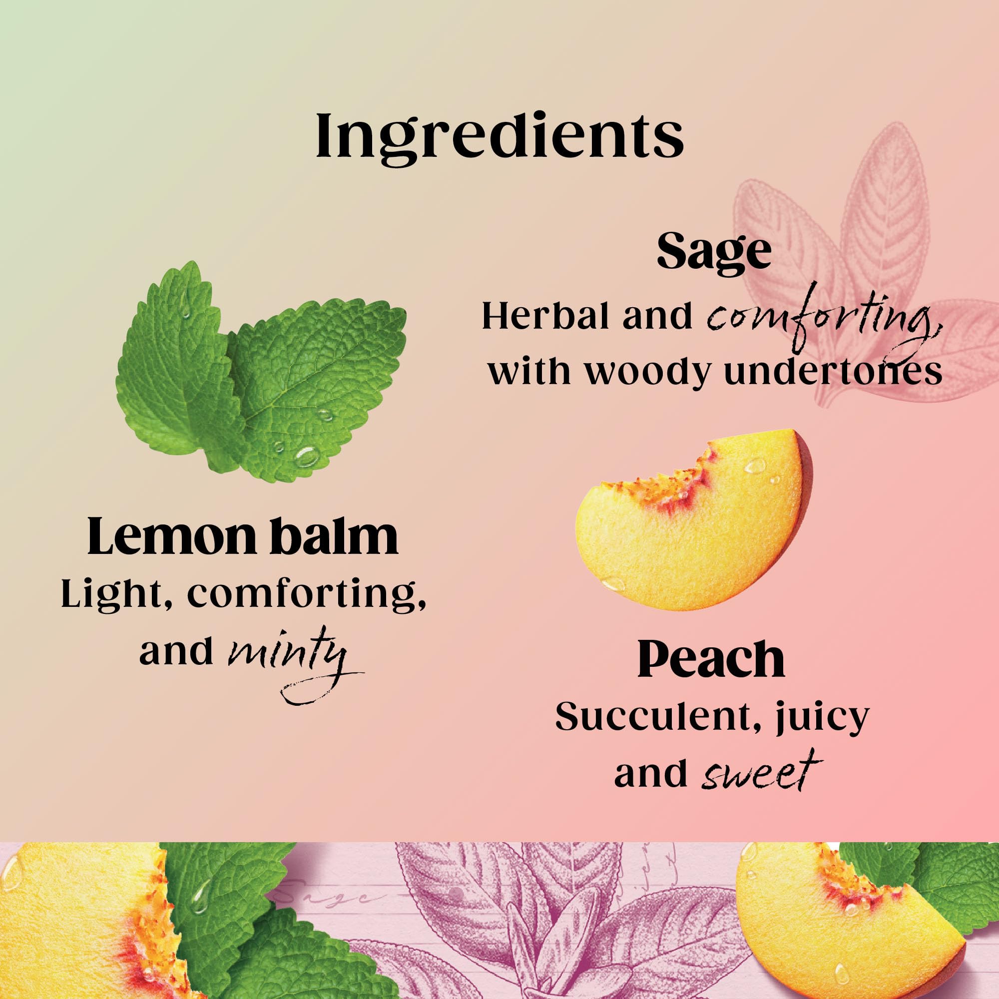 Twinings Superblends Menopause Cool Moments Peach Herbal Tea with Lemon Balm, Honeybush & Vitamin B6, 20 Biodegradable Bags 7