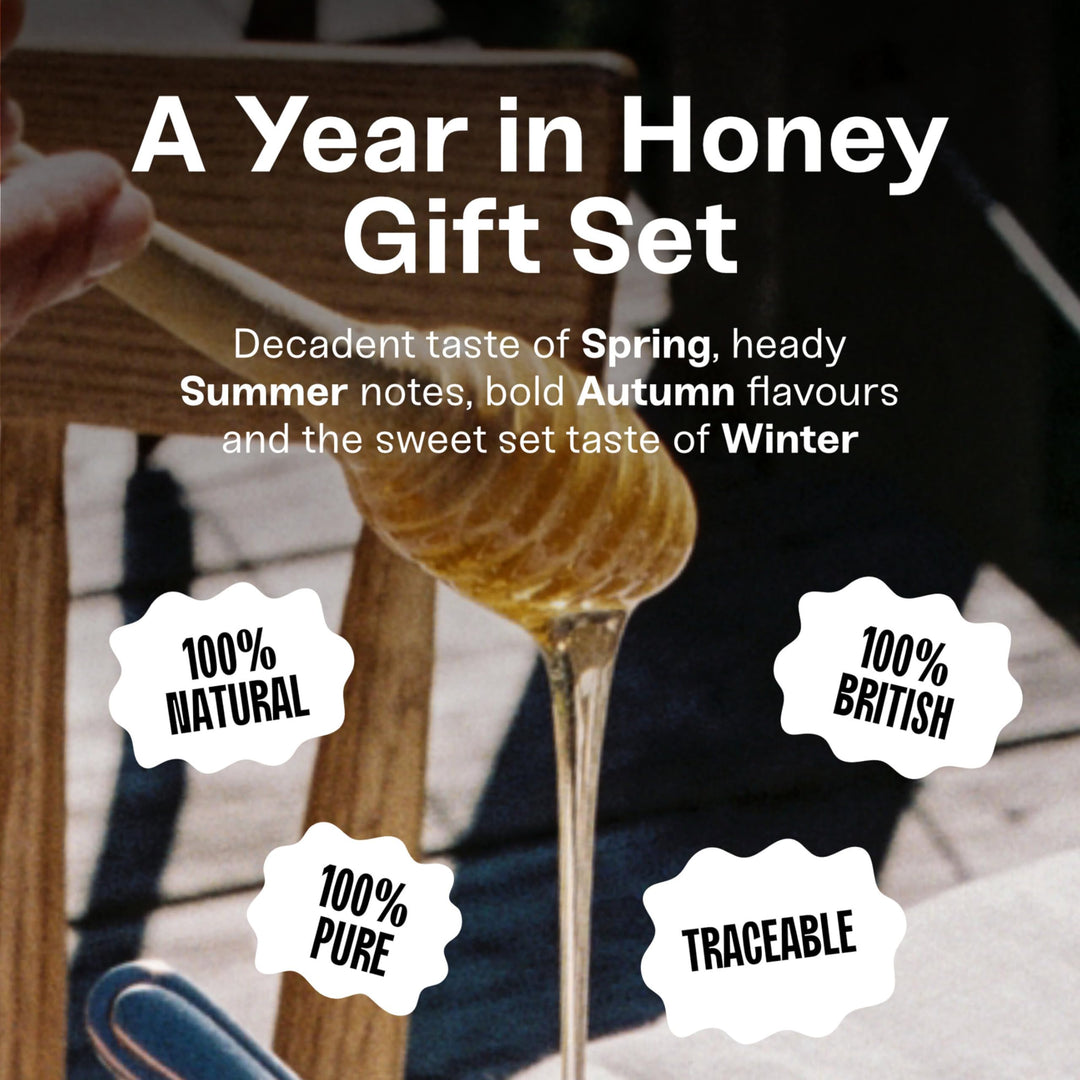 Black Bee Honey Gift Set - 4x 42g British Honey Pack, Creamy Light Spring