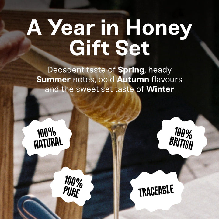 Black Bee Honey Gift Set - 4x 42g British Honey Pack, Creamy Light Spring