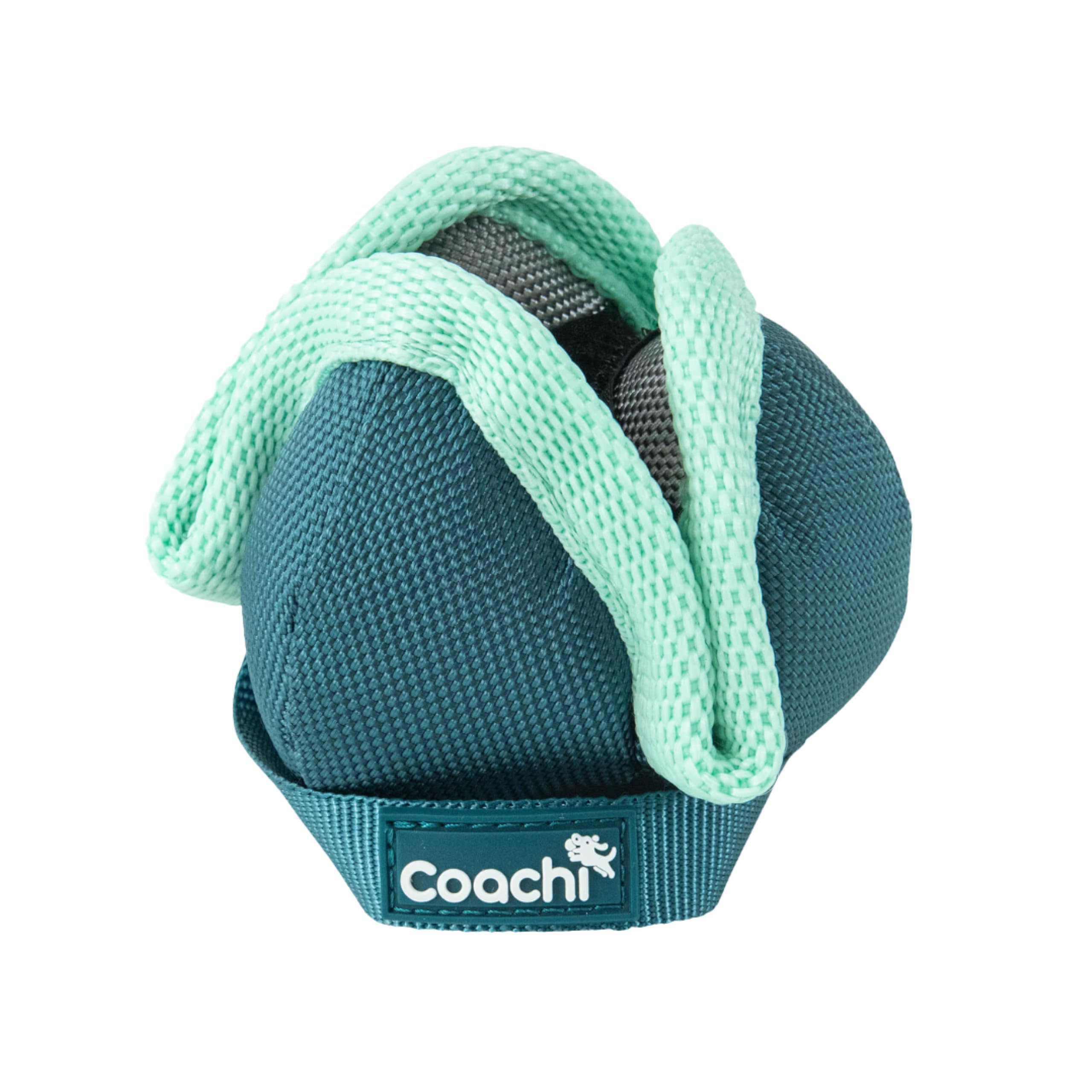 Coachi Puppy & Mini Chase & Treat Ball - Lightweight Fetch Toy for Small Dogs | Teal & Mint
