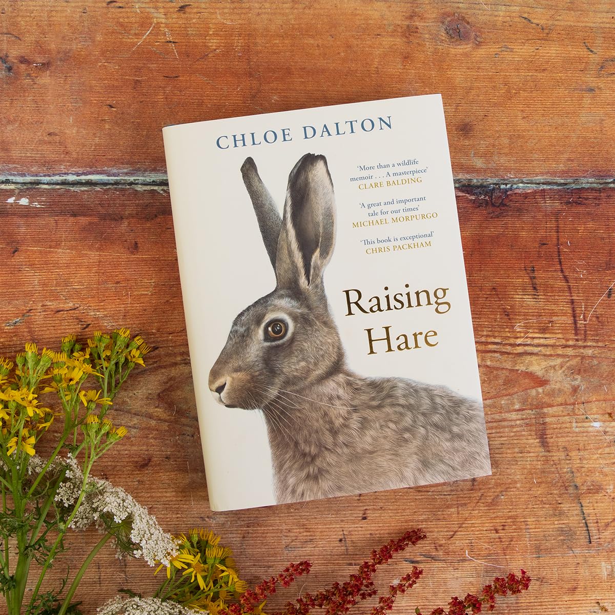 Chloe Dalton - Raising Hare: The heart-warming true story of an unlikely friendship | Hardcover