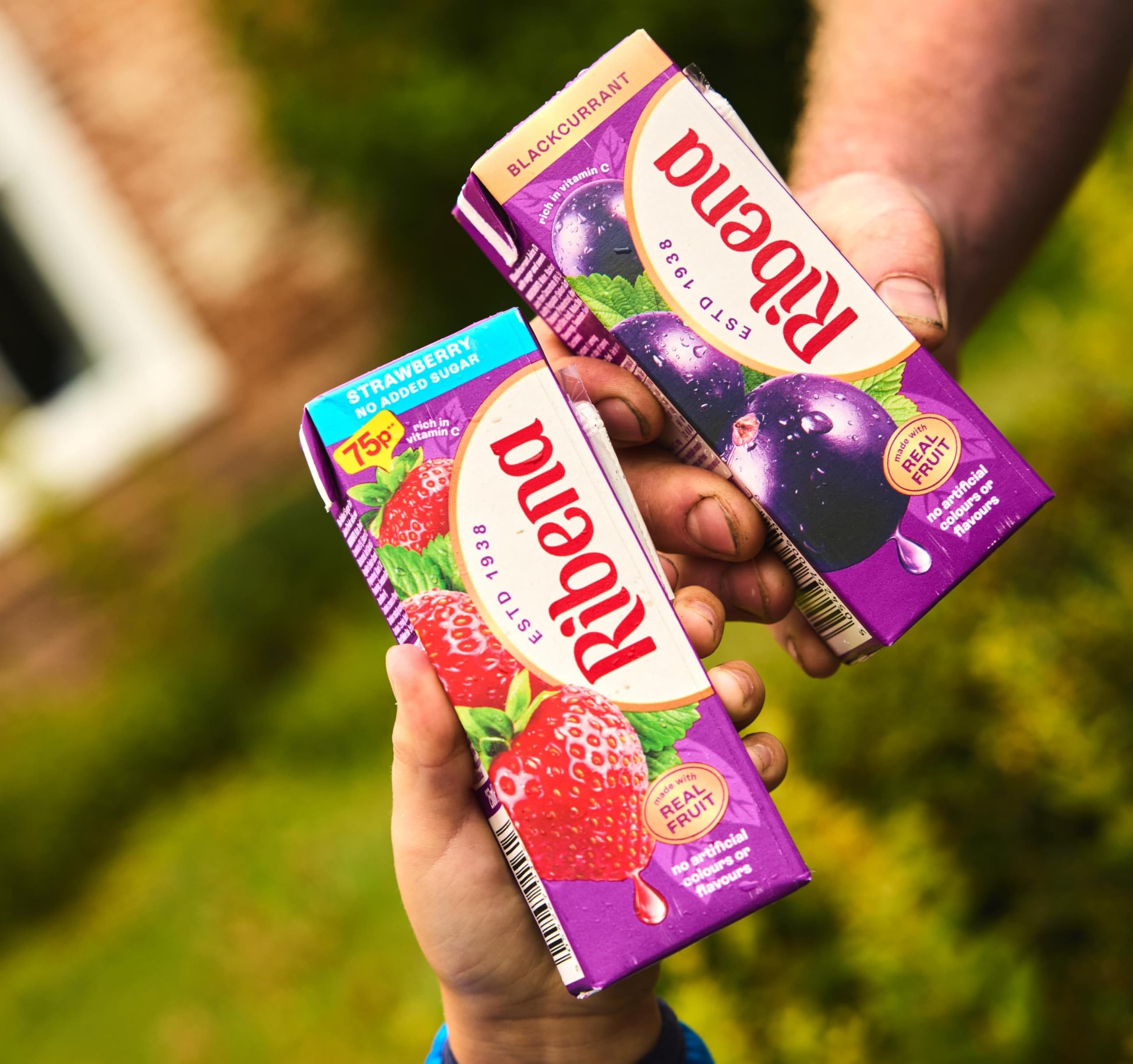 Ribena - Erdbeer-Saftgetränk ohne Zuckerzusatz, Multipack, 6 x 250 ml 8