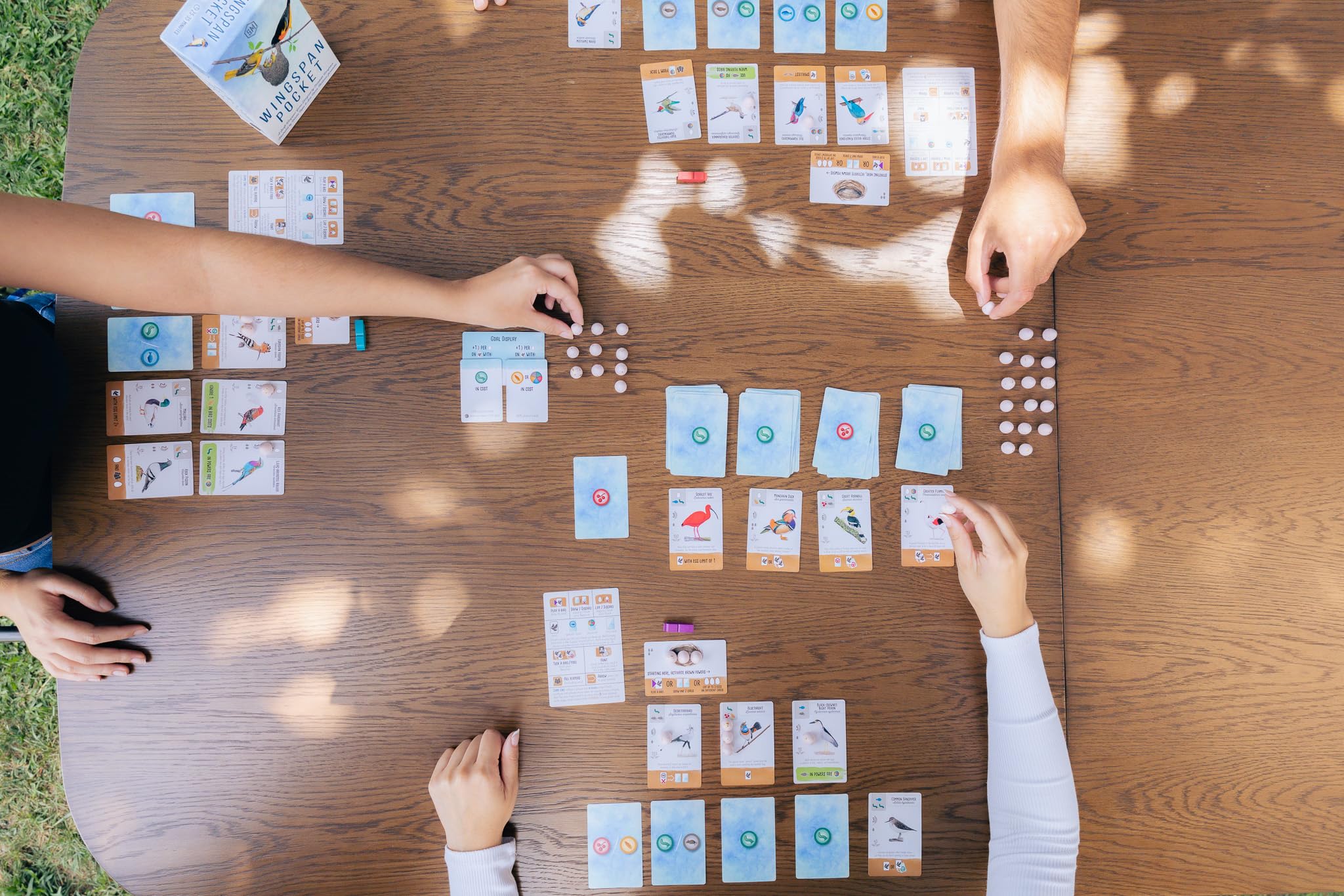 Stonemaier Games Wingspan Pocket - Travel-Friendly Strategic Card Game | Ages 8+ | 30 Min Playtime | 1-5 Players 5