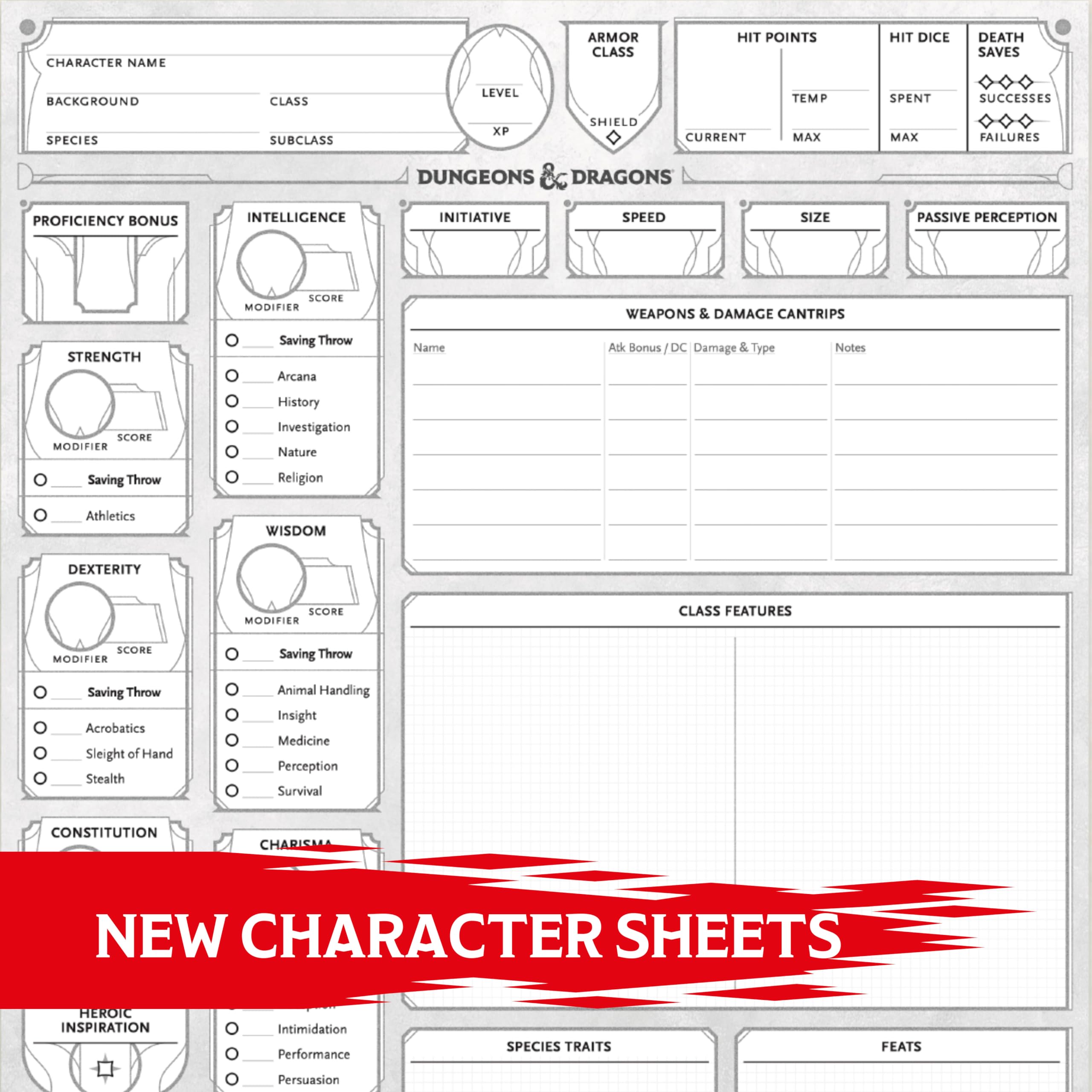 Dungeons & Dragons 2024 Edition Character Sheets - 50 Double-Sided Sheets | Folder Included