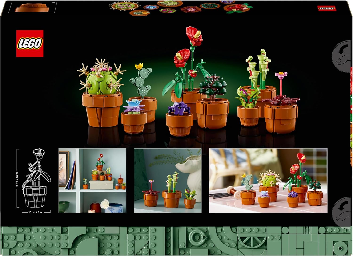 LEGO Icons Tiny Plants 10329 – Botanische Sammlung Bauset für Erwachsene 9