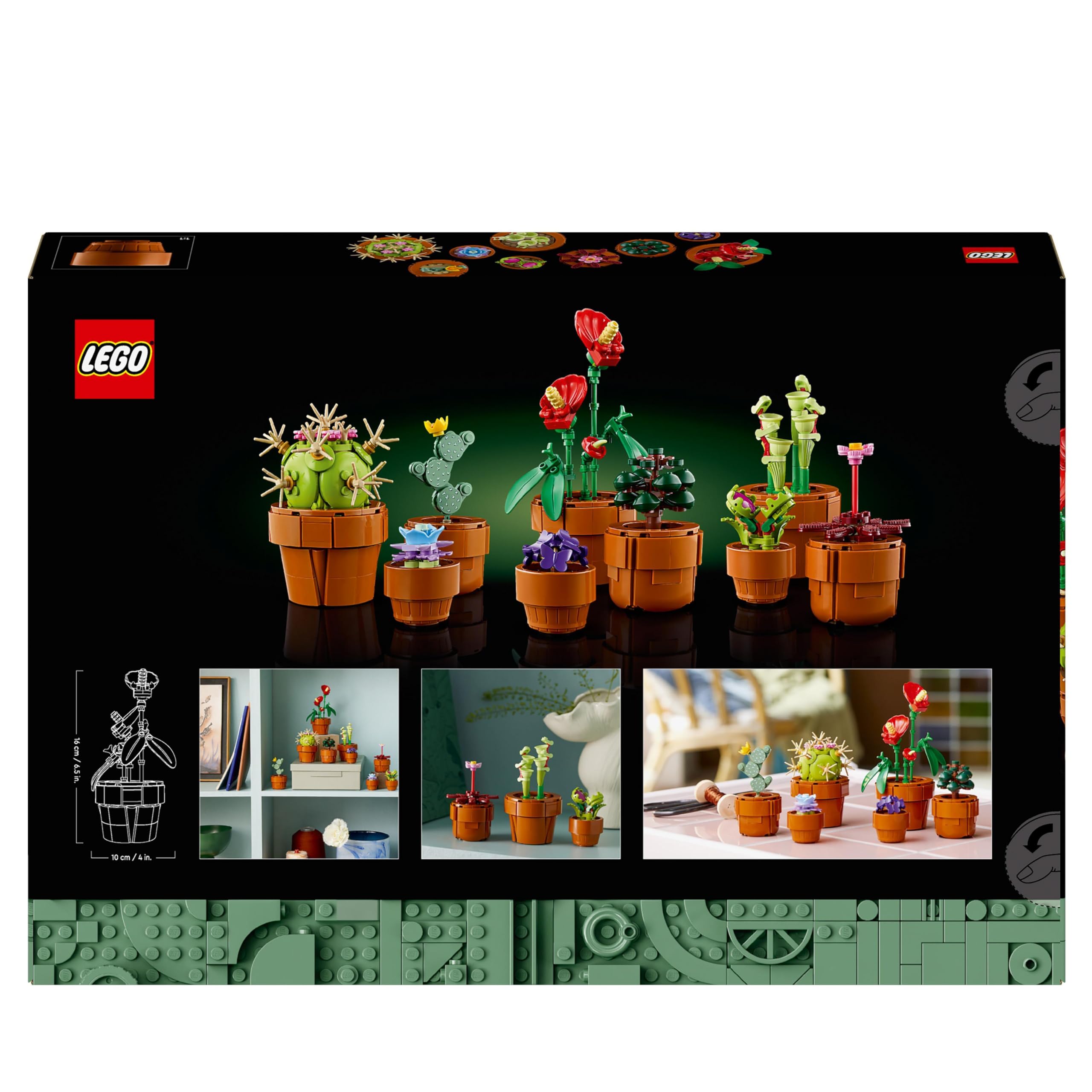 LEGO Icons Tiny Plants 10329 – Botanische Sammlung Bauset für Erwachsene 8