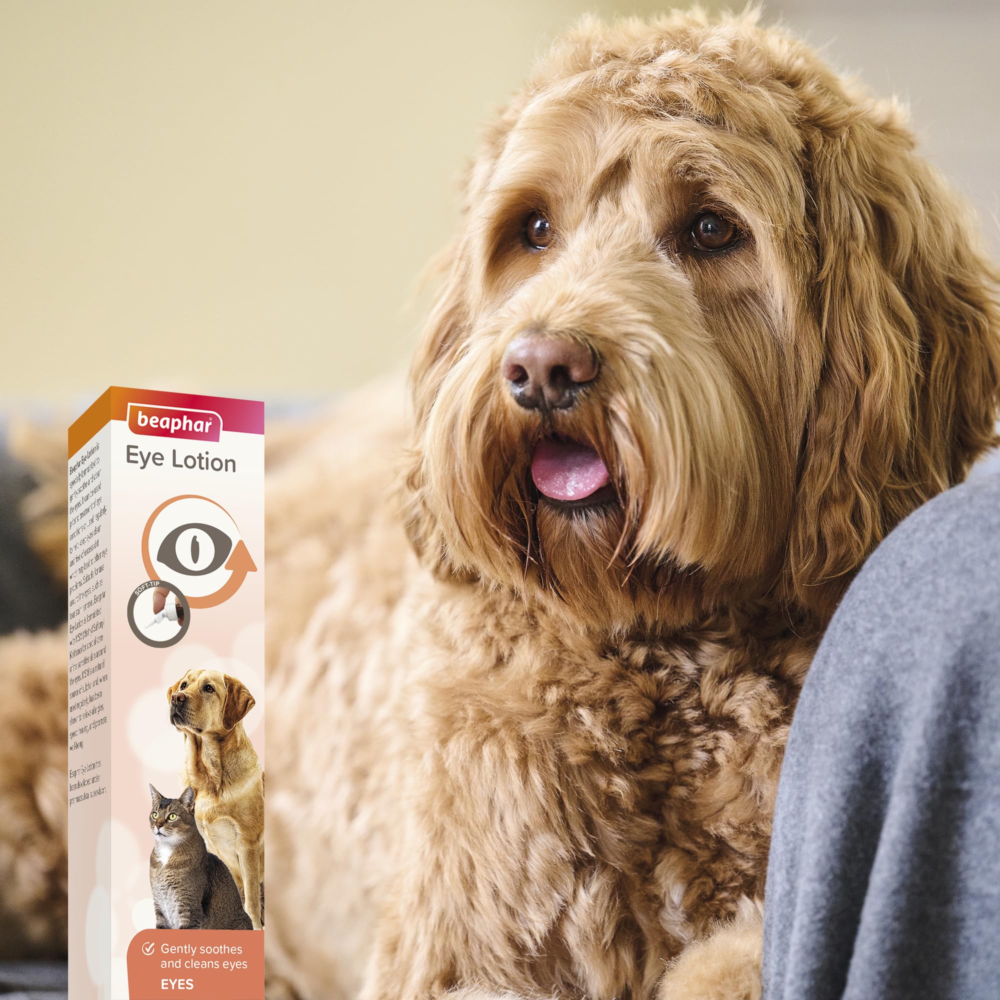 Beaphar Eye Lotion for Cats and Dogs - Cleans Sensitive Eye Area & Removes Tear Stains | 50 ml 7