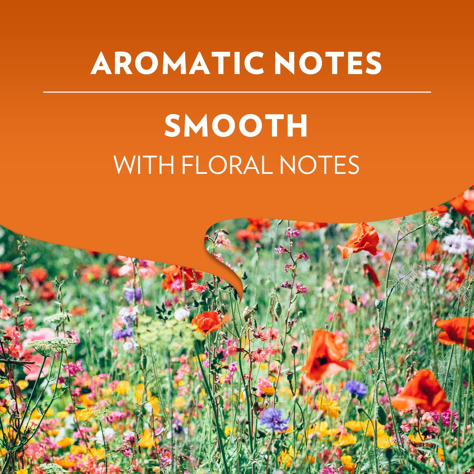 Lavazza A Modo Mio Espresso Delizioso Coffee Capsules, 100% Arabica, 16 Pods 4