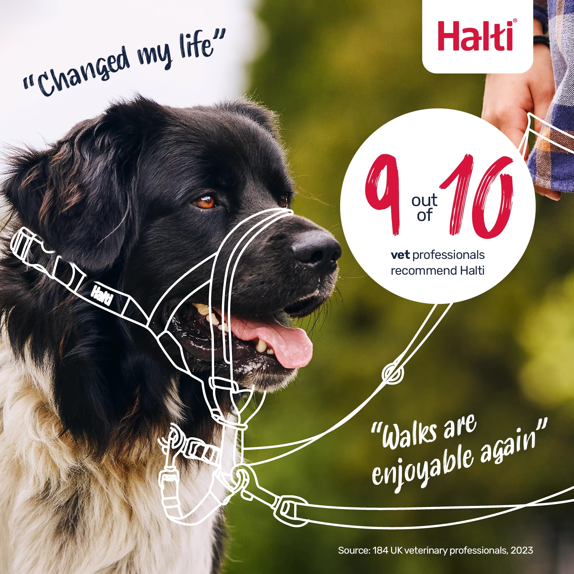Halti Headcollar for Dogs - Stops Pulling | Size 3, Pink 6