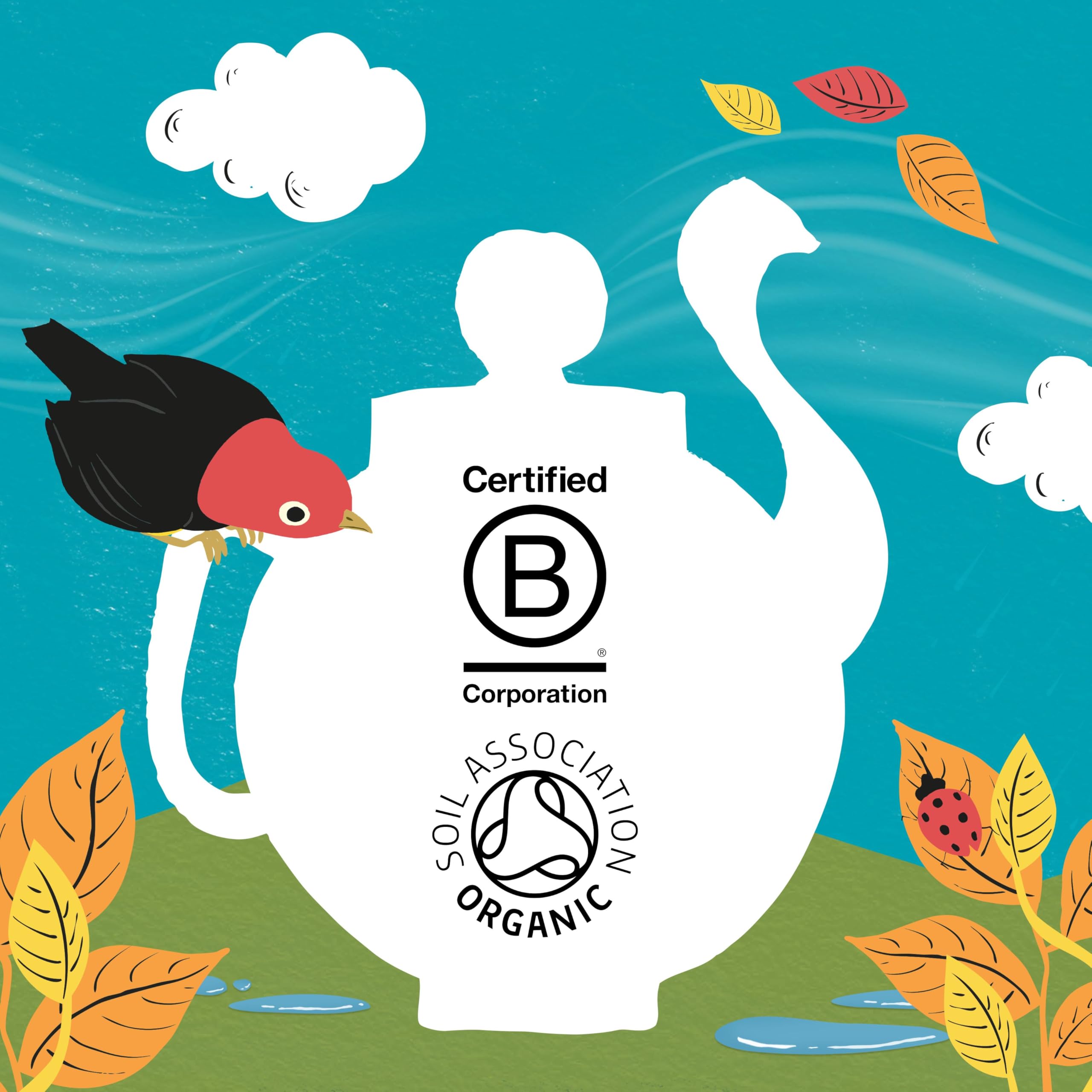 Clipper Organic Peppermint & Spearmint Infusions Fruit Teabags - 80 Unbleached Tea Bags 14