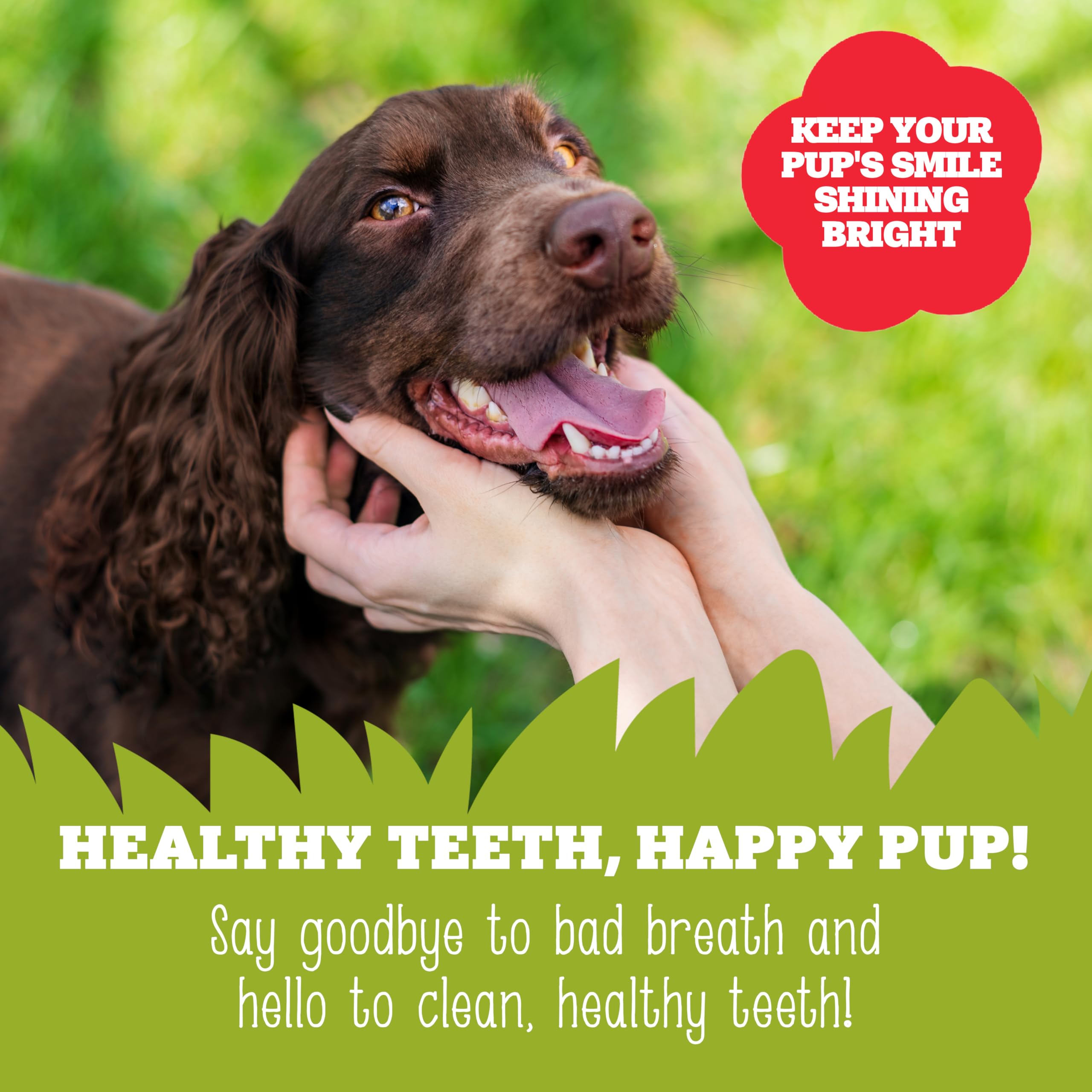 Soopa Cranberry and Sweet Potato Dental Sticks Dog Treat, Low Fat, Hypoallergenic, 100 g 5