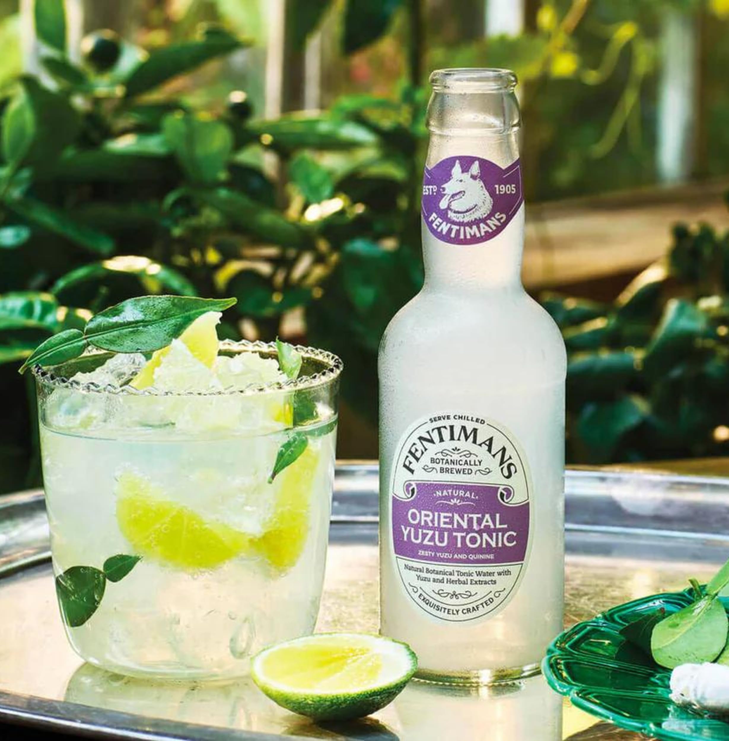 Fentimans - Orientalisches Yuzu-Tonic-Wasser, botanisch gebraut, Mixer 5