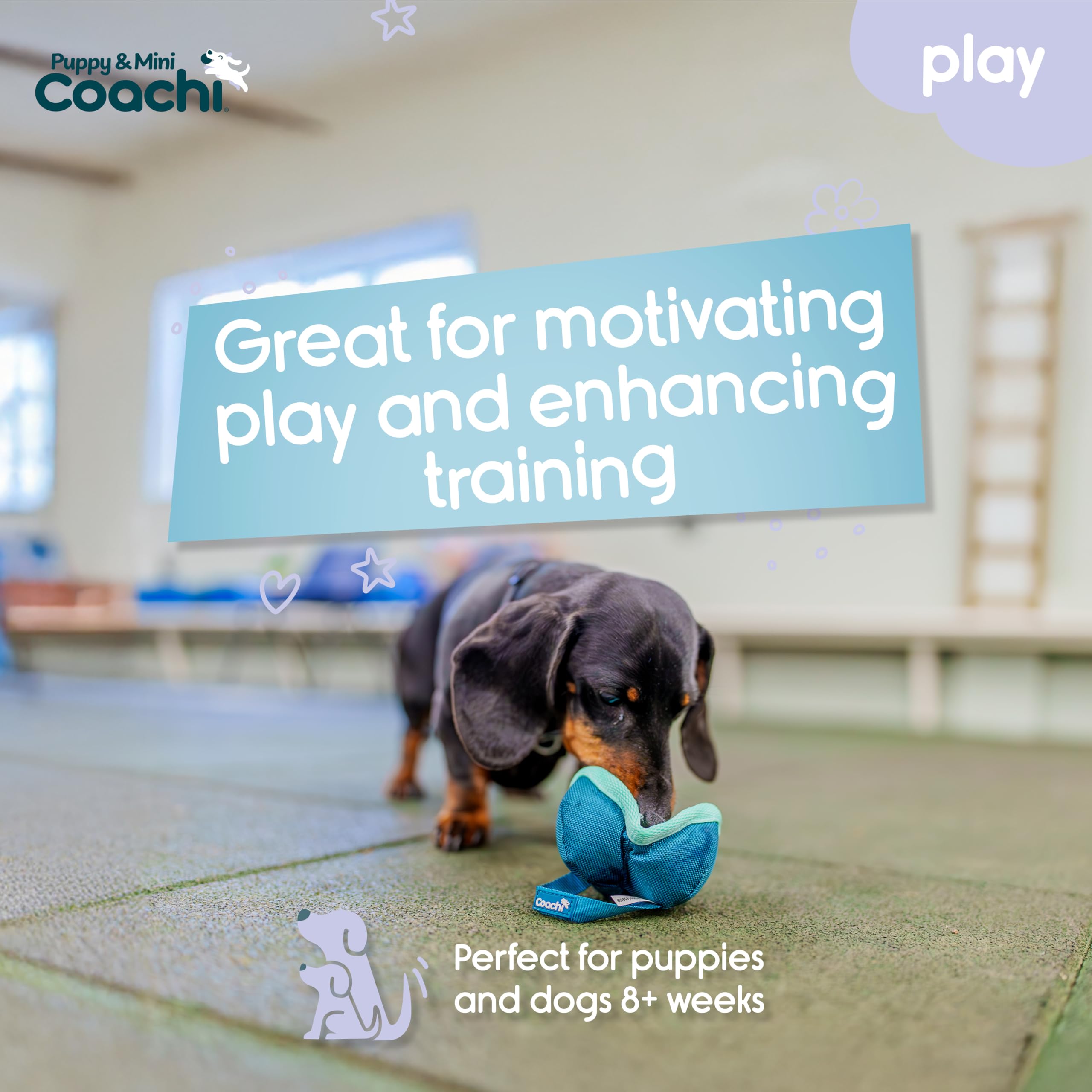 Coachi Puppy & Mini Chase & Treat Ball - Lightweight Fetch Toy for Small Dogs | Teal & Mint