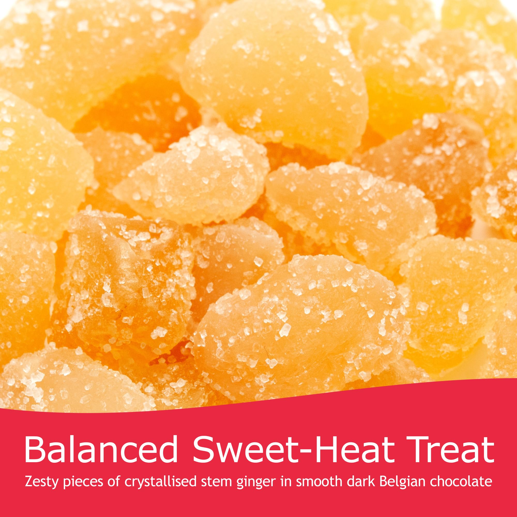 Rita Farhi Dark Chocolate Covered Ginger Luxury Gift Jar 850g 7