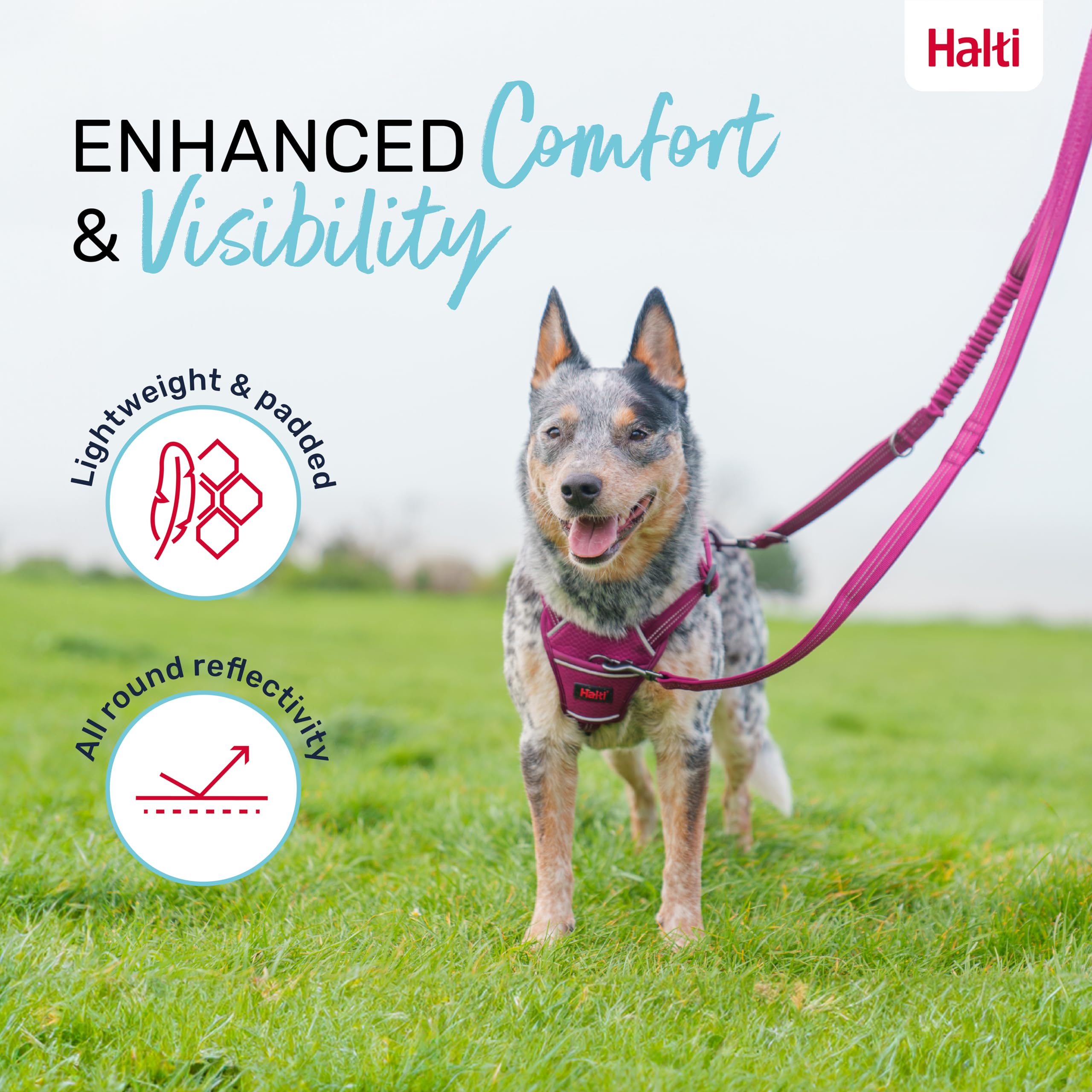 Halti Anatomy Multifunctional Dog Lead - Shock Absorbing Bungee | Size L, Magenta 4