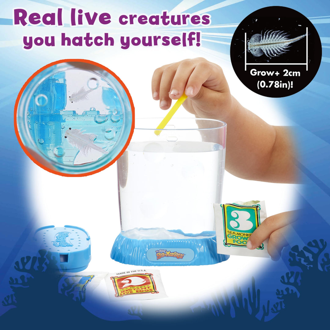 Sea Monkeys Ocean Zoo - Educational Science Kit for Kids 5-10