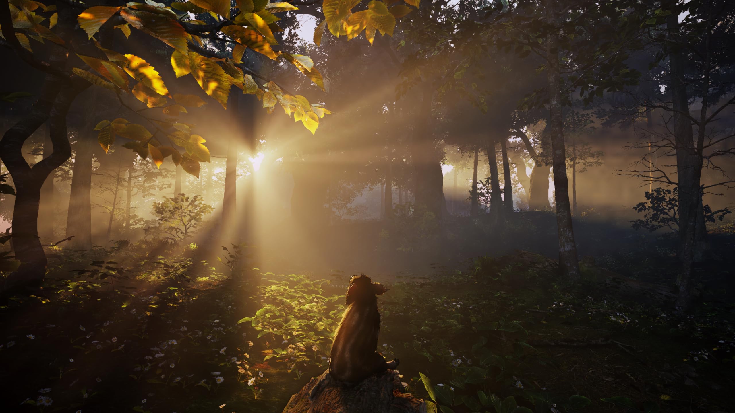 Adorable Adventures [PS5] 2