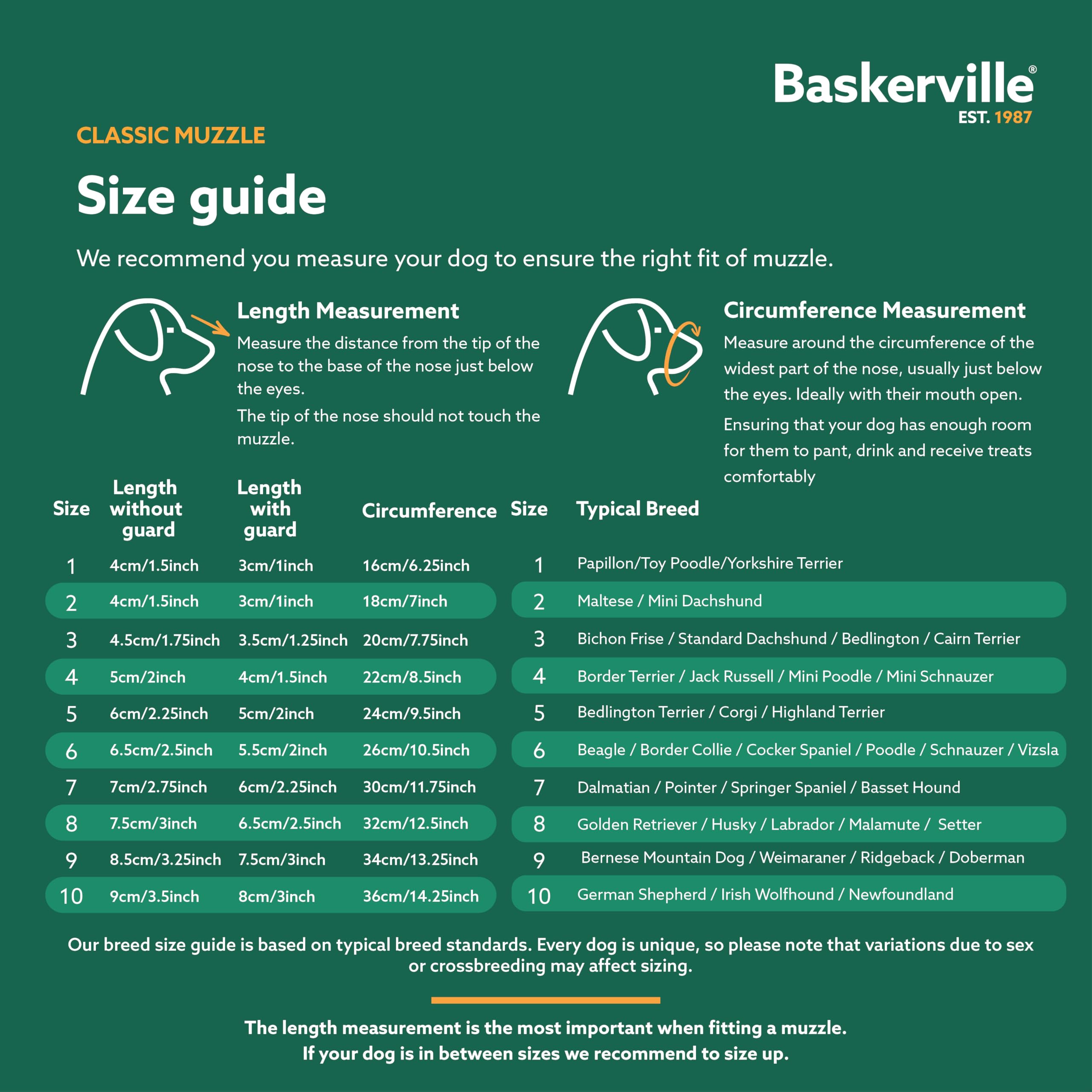 Baskerville Classic Basket Muzzle - Size 6, Brown, Prevents Biting & Scavenging 5