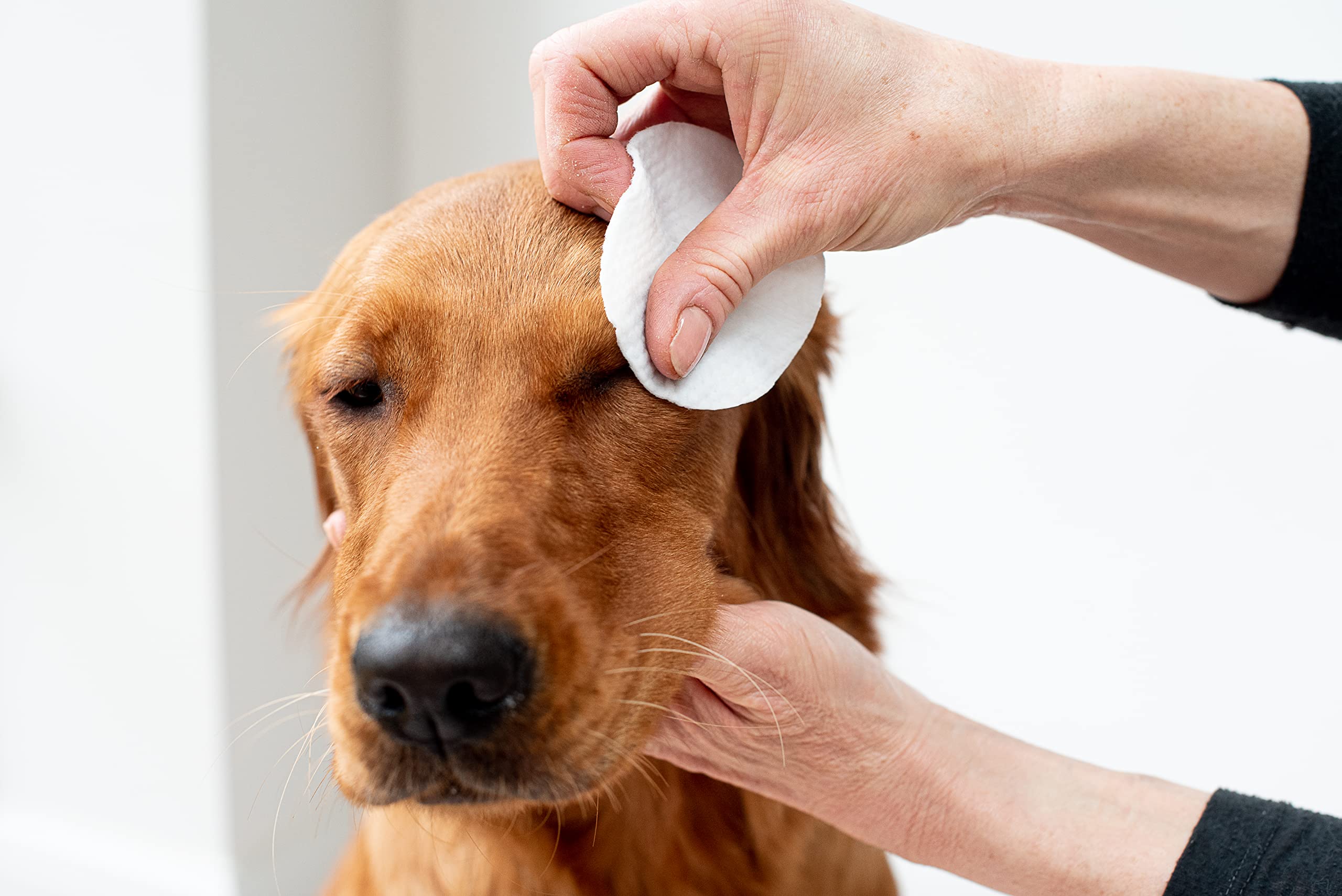 pet wiz Vet Approved Natural Eye Wipes for Dogs - 120 Extra Large Soothing Pads 3