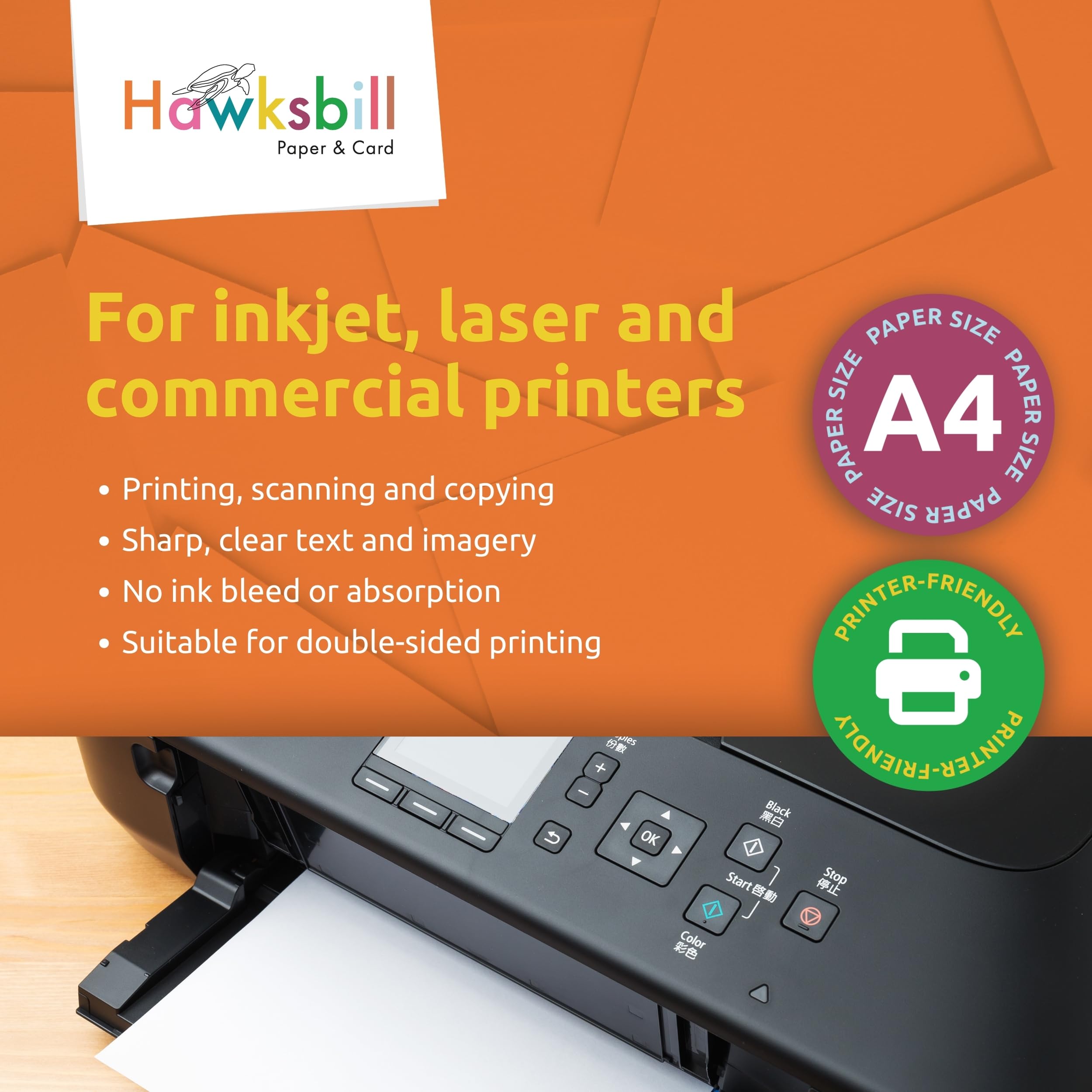 Hawksbill Pale Green Copy Paper - 80 GSM A4, 100 Sheets | Dyslexia-Friendly & FSC Certified 4
