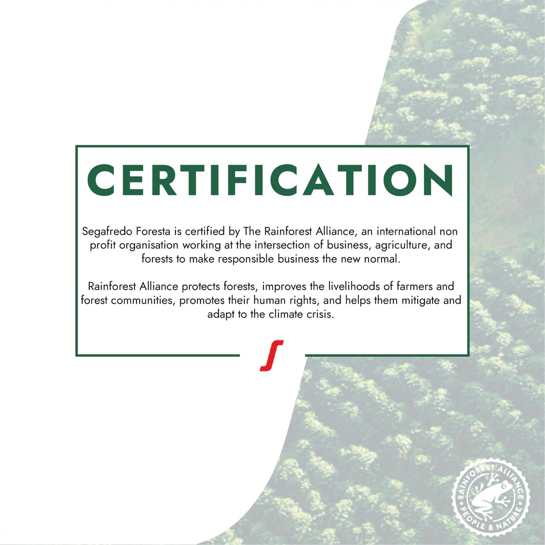 Segafredo Zanetti FORESTA Rainforest Alliance Certified Coffee Beans - 1kg Whole Bean