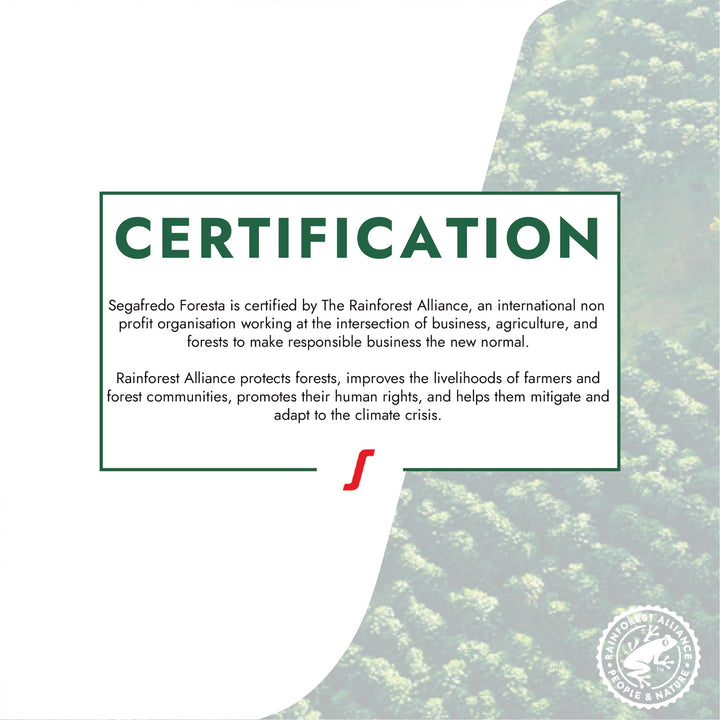 Segafredo Zanetti FORESTA Rainforest Alliance Certified Coffee Beans - 1kg Whole Bean