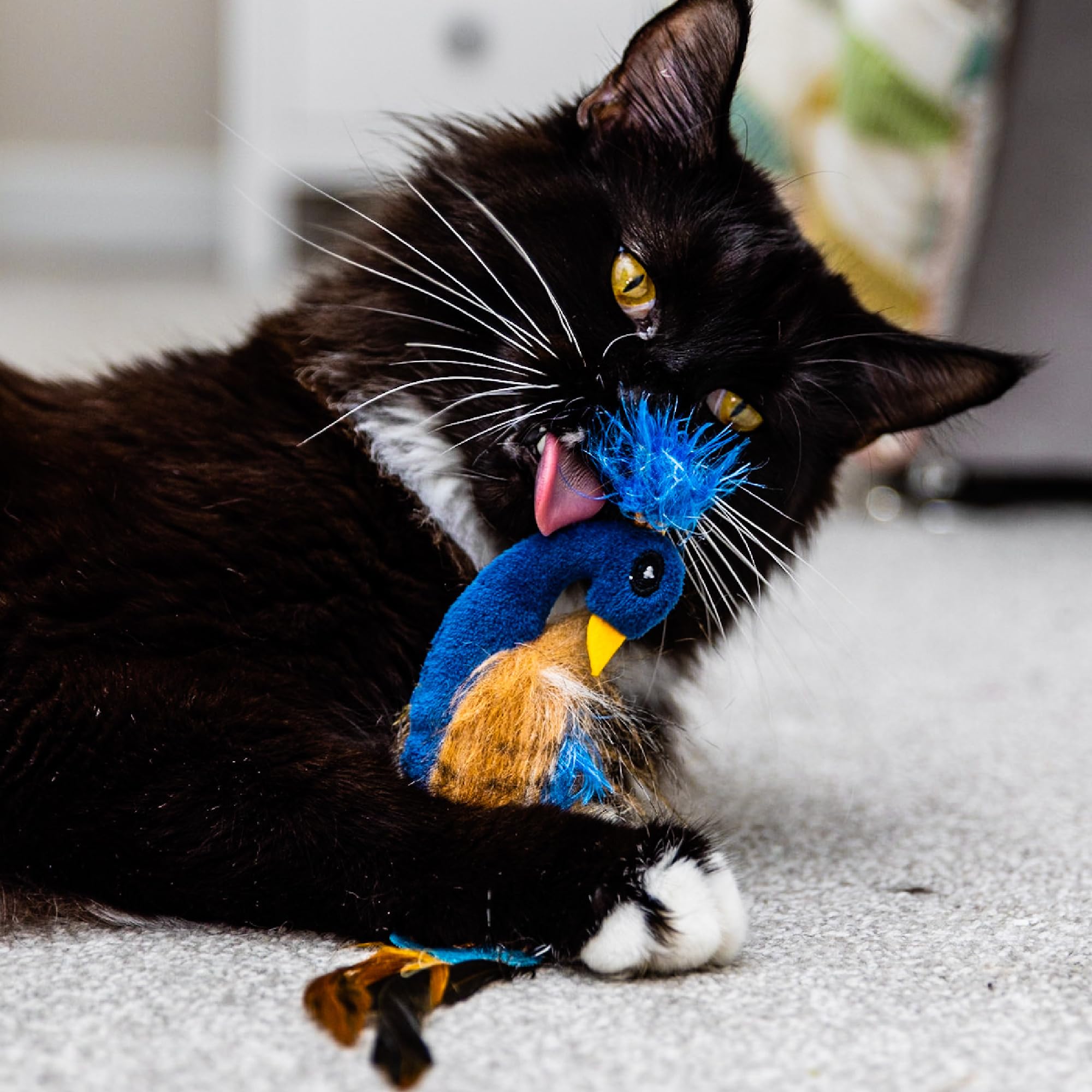 Ancol Peacock Cat Toy - Real Catnip Infused for Happiness and Relaxation | 29cm Length