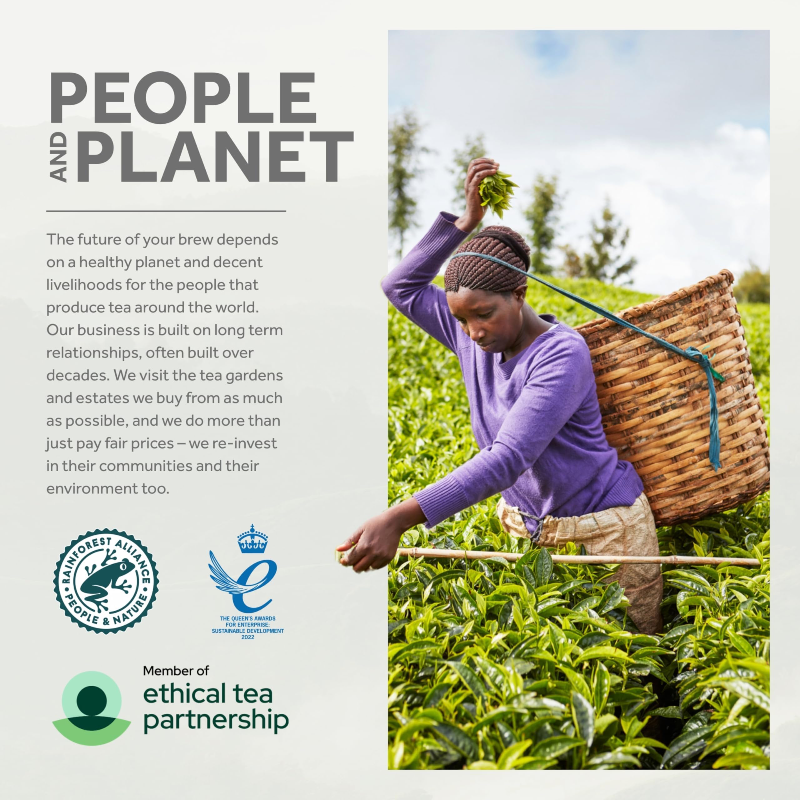 Yorkshire Tea – Teebeutel mit Karamellbiskuit-Geschmack, 4 Schachteln mit je 40 Stück 5