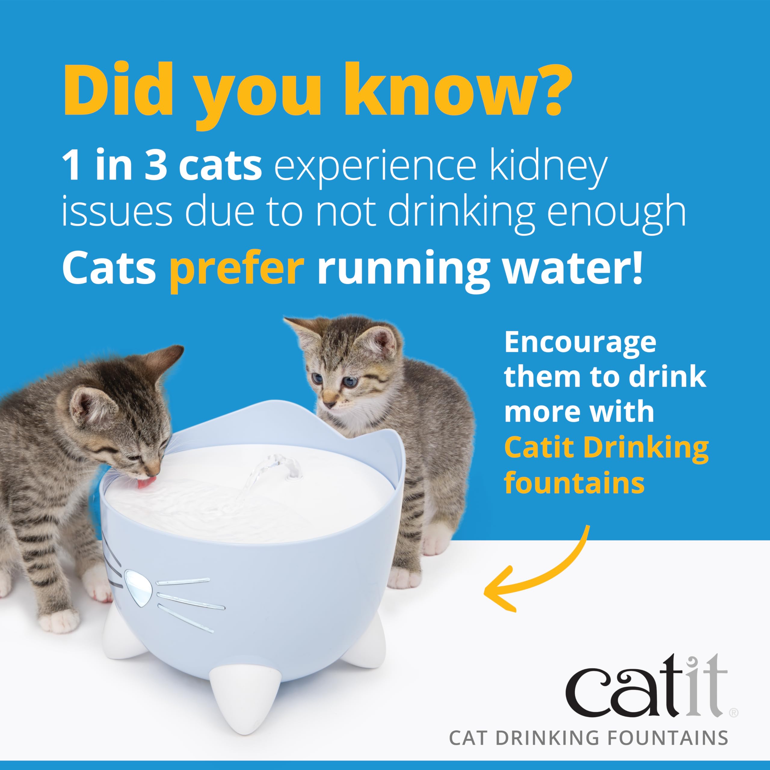 Catit PIXI Automatic Water Drinking Fountain - Encourages Hydration | Triple Action Filtration | Blue 7