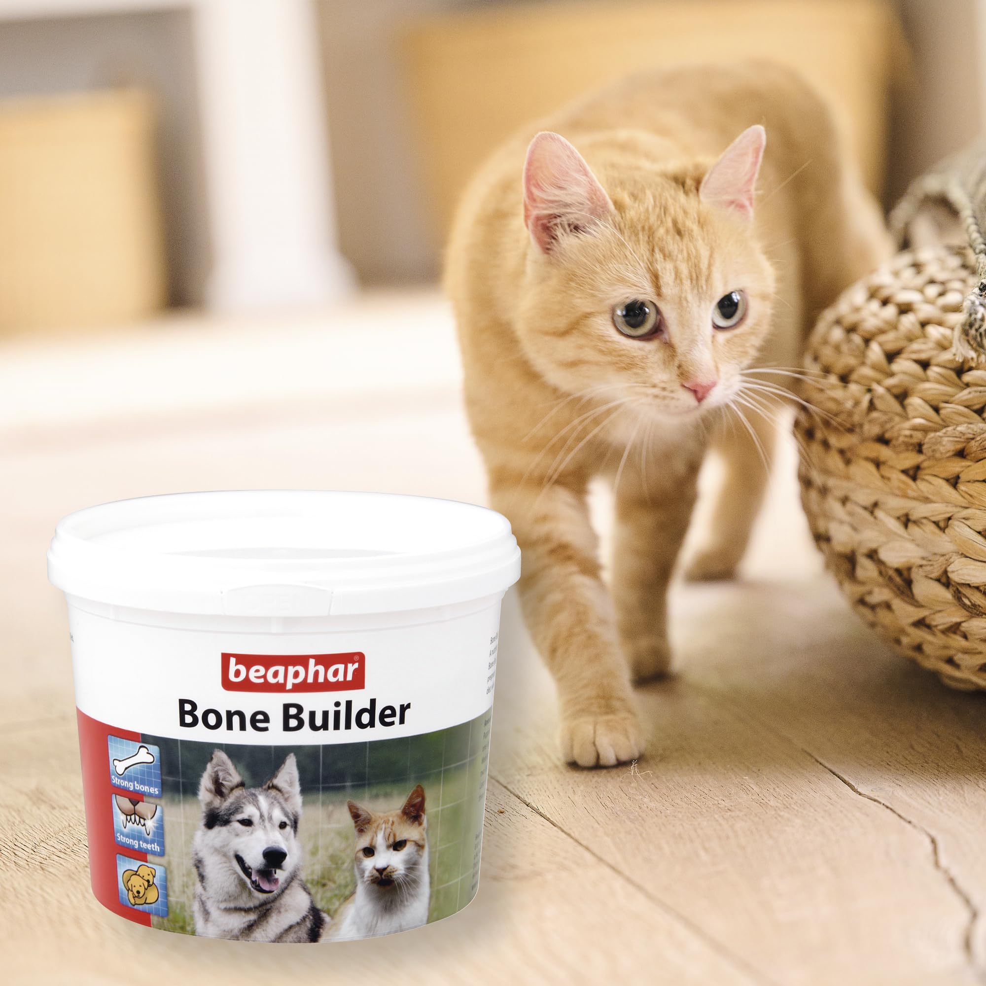 Beaphar Bone Builder Nutritional Powder Supplement for Cats & Dogs Fed Home Diets 500g 6