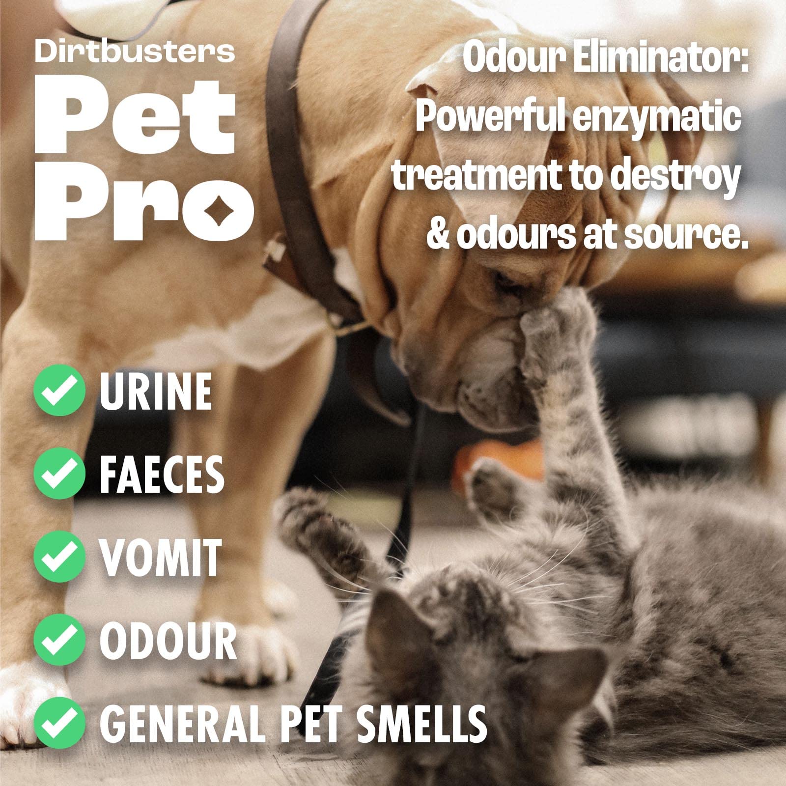 Dirtbusters Pet Pro Stain And Odour Remover Spray - Enzymatic Cleaner | 500 ml | Fig Scent 4