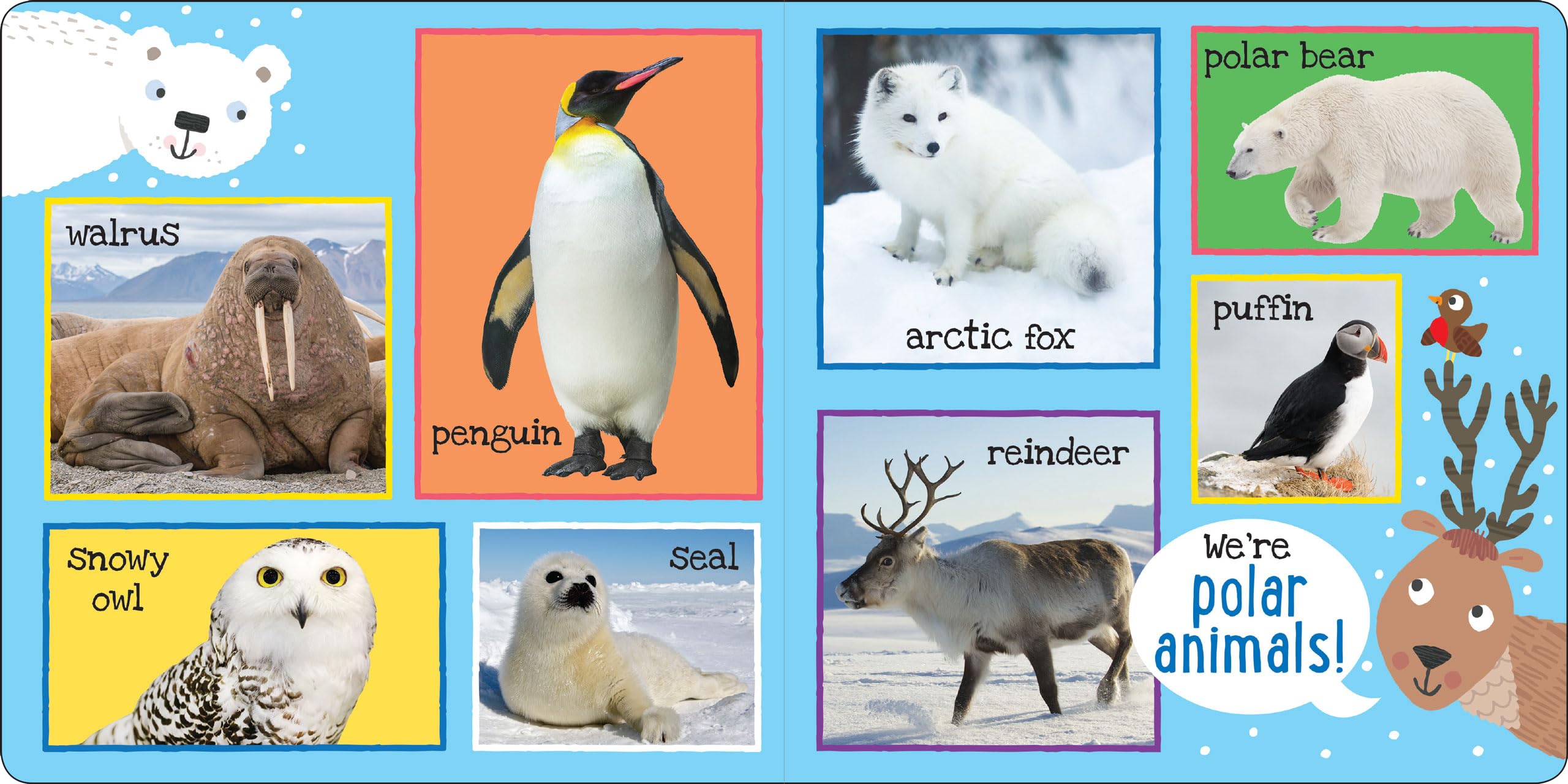 Peter Pauper Press My First 101 Animals Board Book - Ages 0-2 | 24 Pages | English 3
